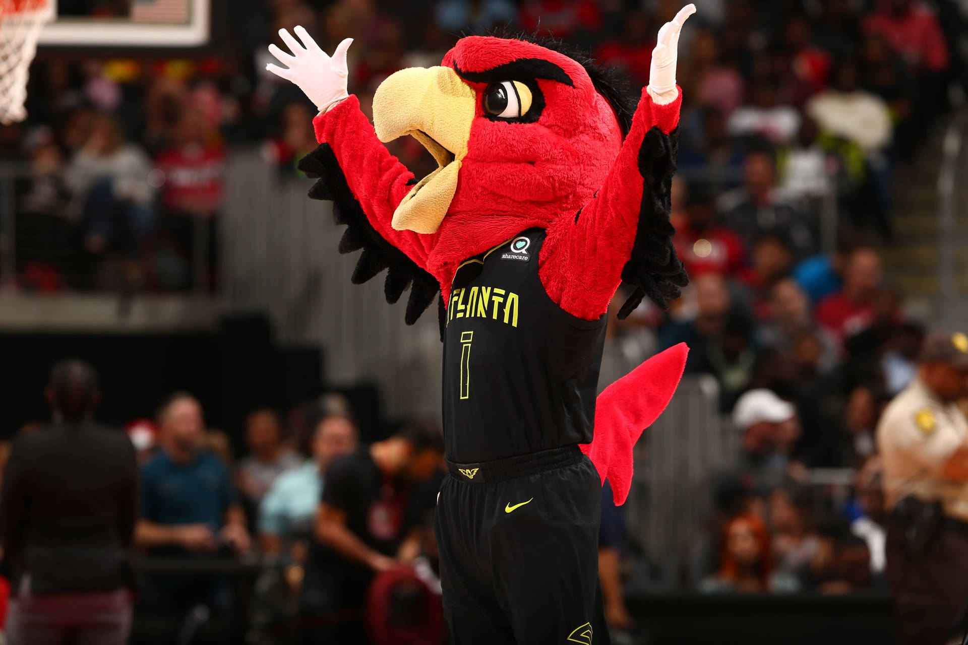 Atlanta Hawks Mascot Background