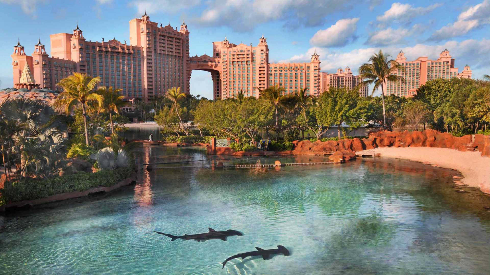 Atlantis Resort's Lovely Beach Background