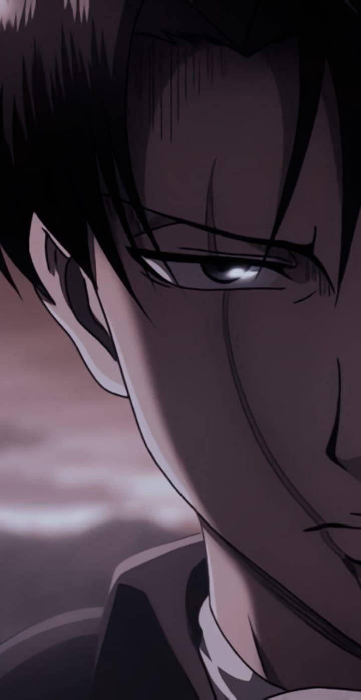 Attack On Titan Characters Levi Scar