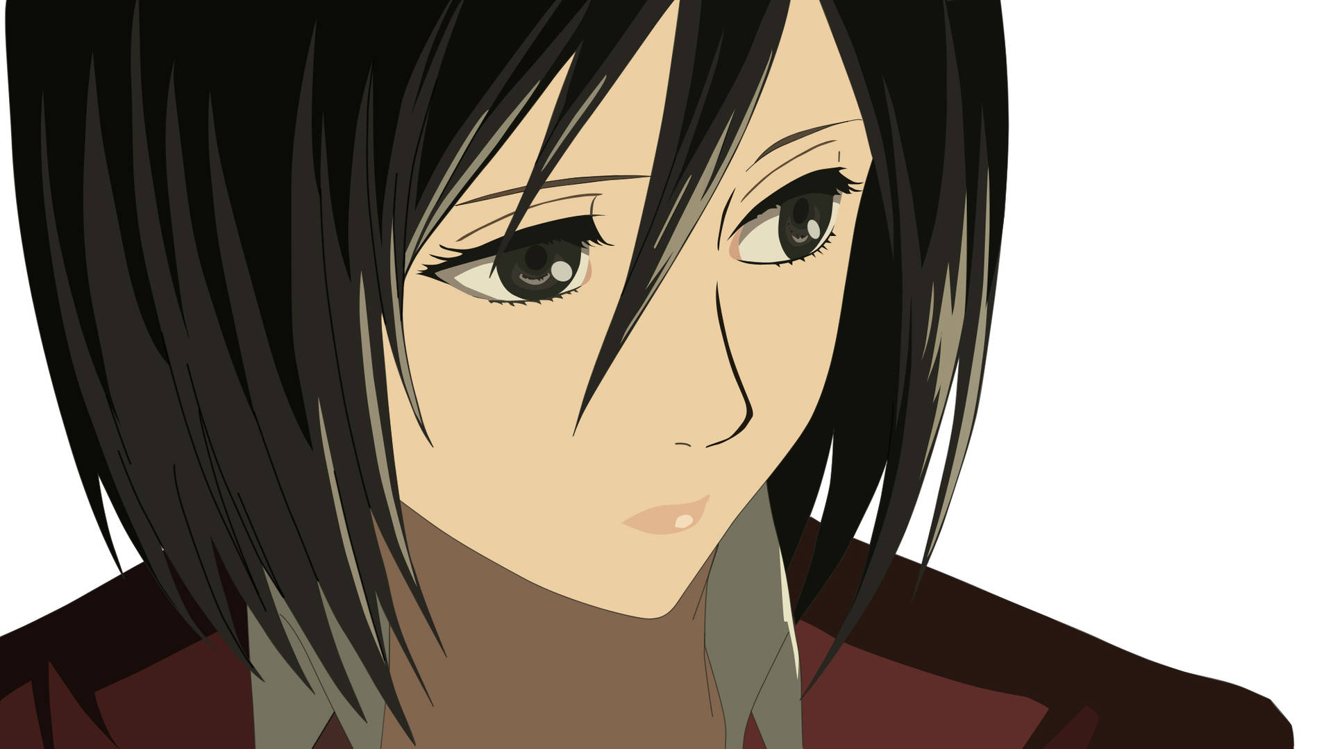 Attack On Titan Characters Mikasa Pretty