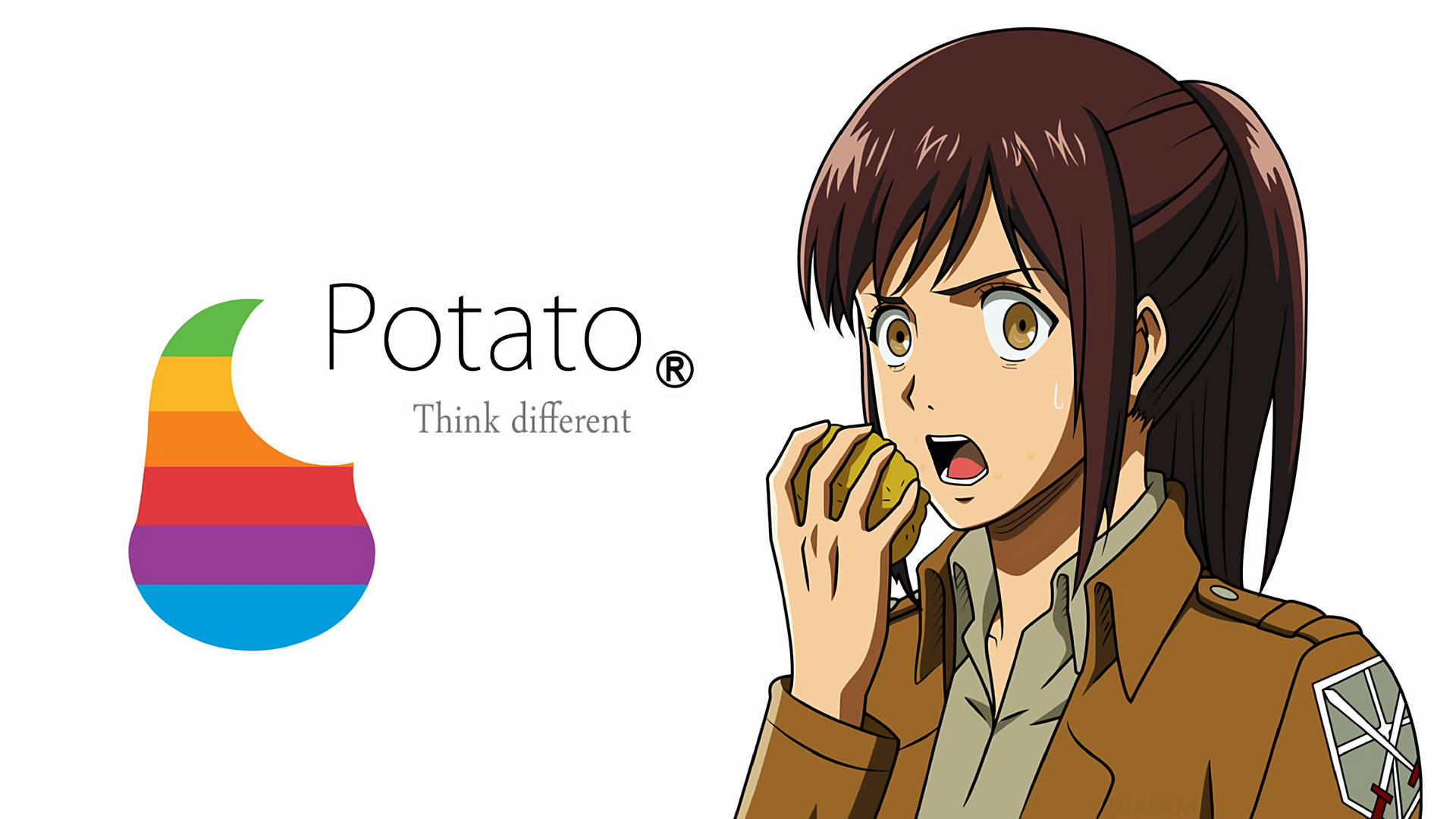Attack On Titan Characters Sasha Potato Background
