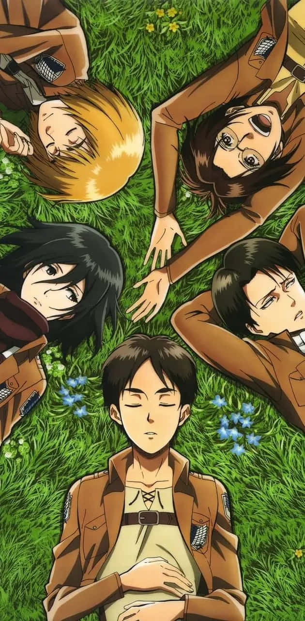 Attackon Titan Characters Relaxingin Grass Background