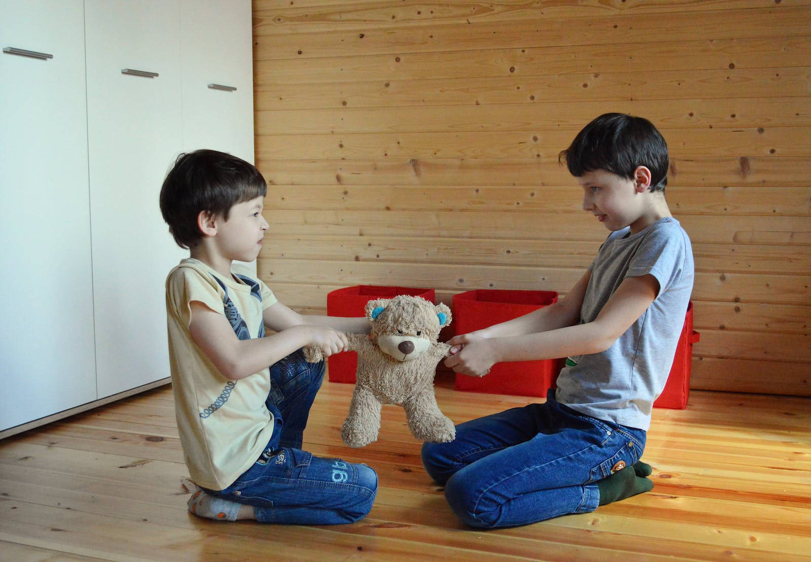 Attitude Boys Fighting Over A Teddy Bear Background