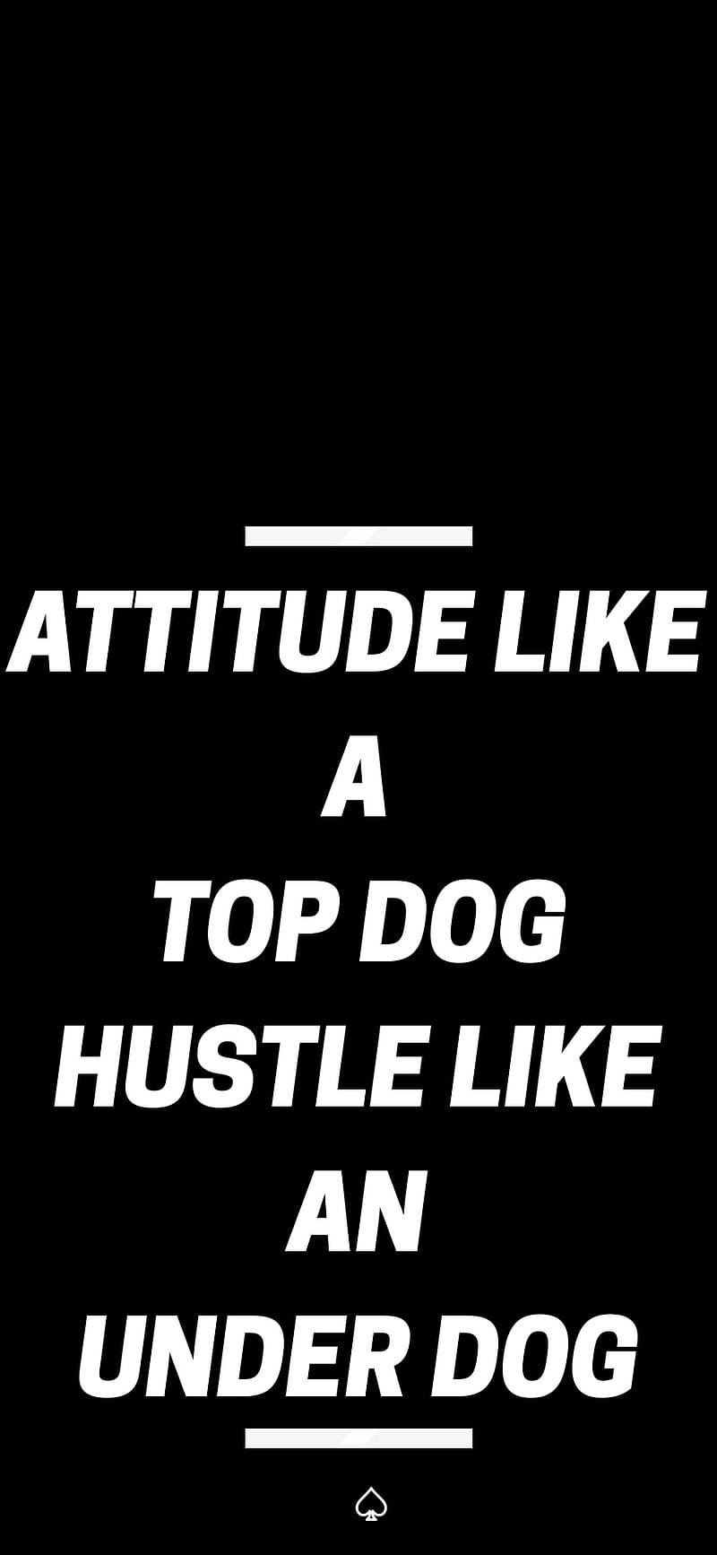 Attitude Like A Top Dog Hustle Like An Underdog Background