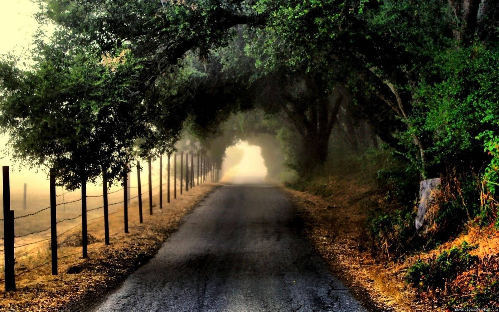 Attractive Emptystretch Of Road Background