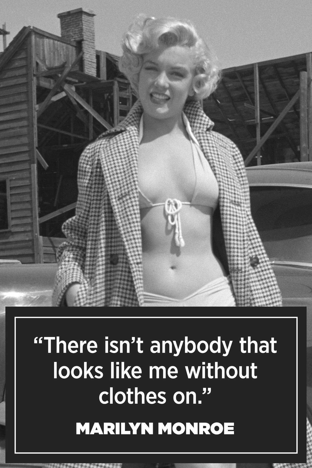 Attractive Marilyn Monroe Quotes Background