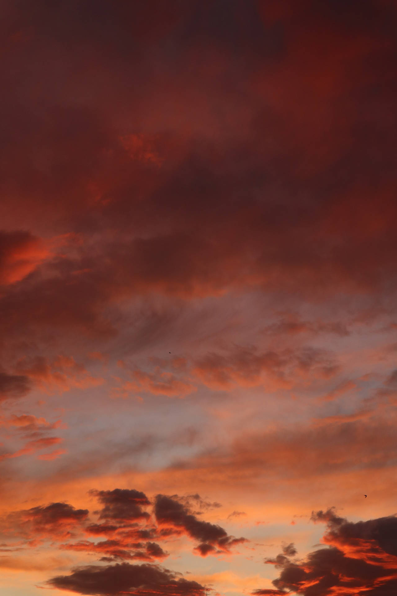 Auburn Beautiful Sky Background