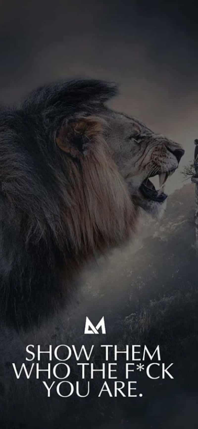 Audacious Lion Background