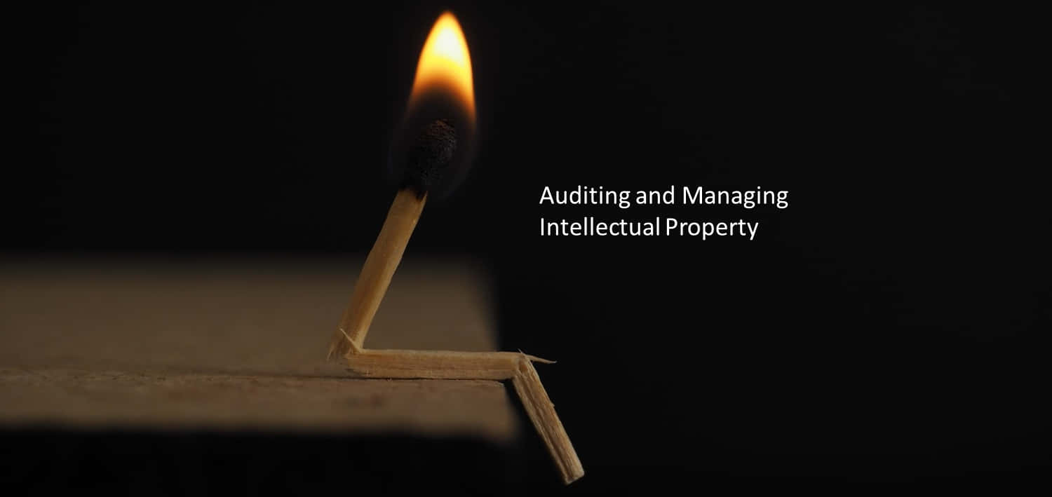 Auditing And Managing Intellectual Property