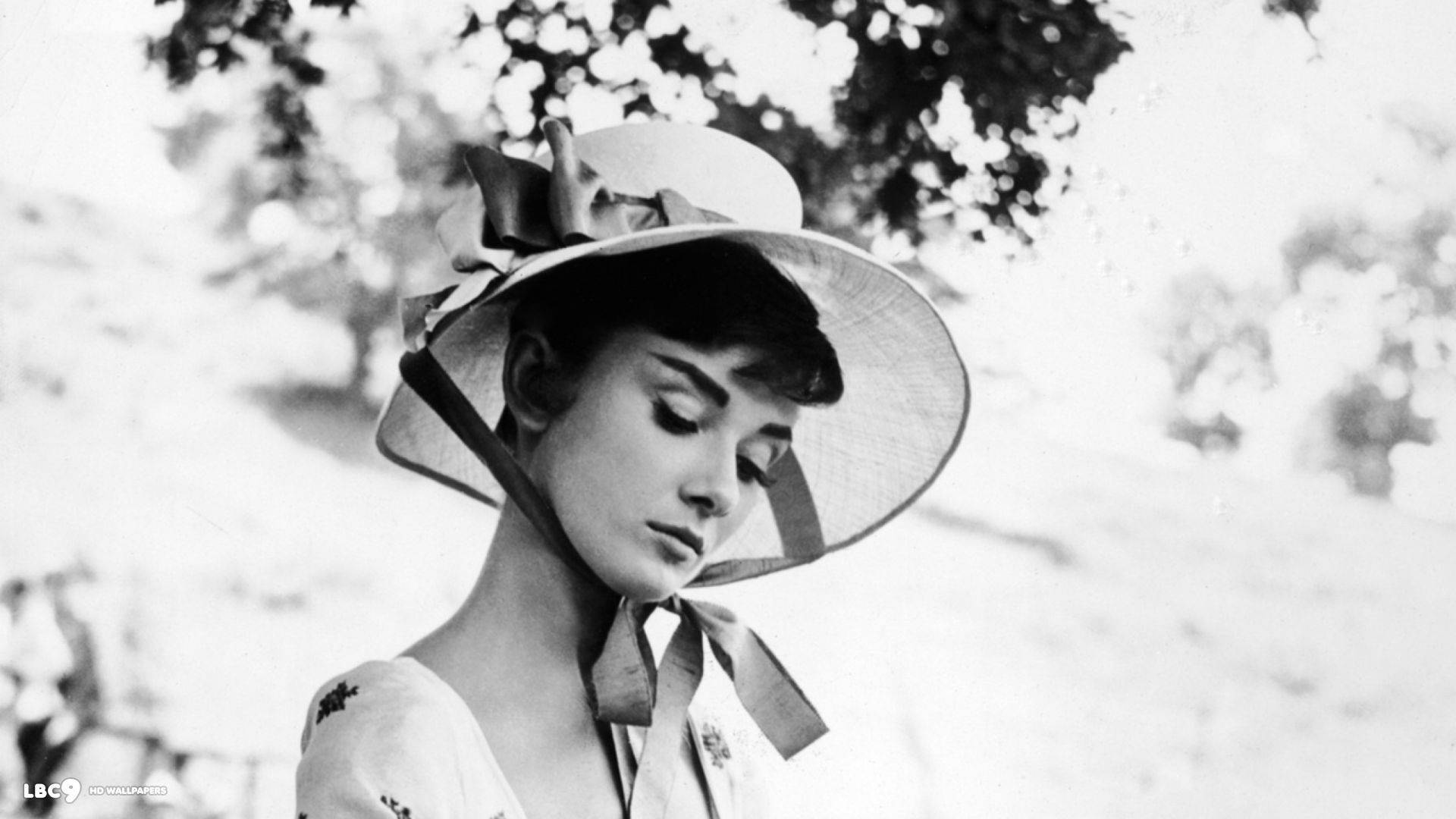 Audrey Hepburn In Wide Hat Background