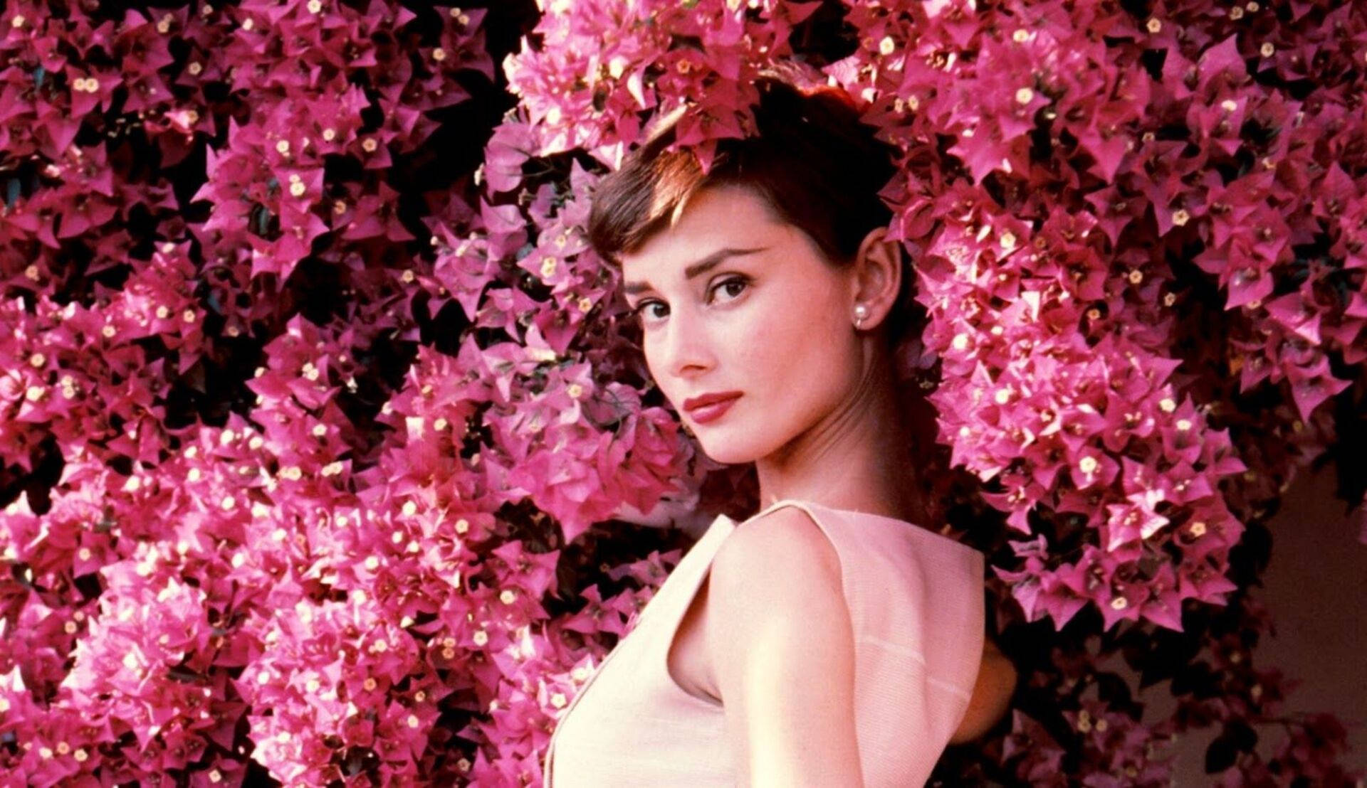 Audrey Hepburn Pink Flowers Photoshoot Background
