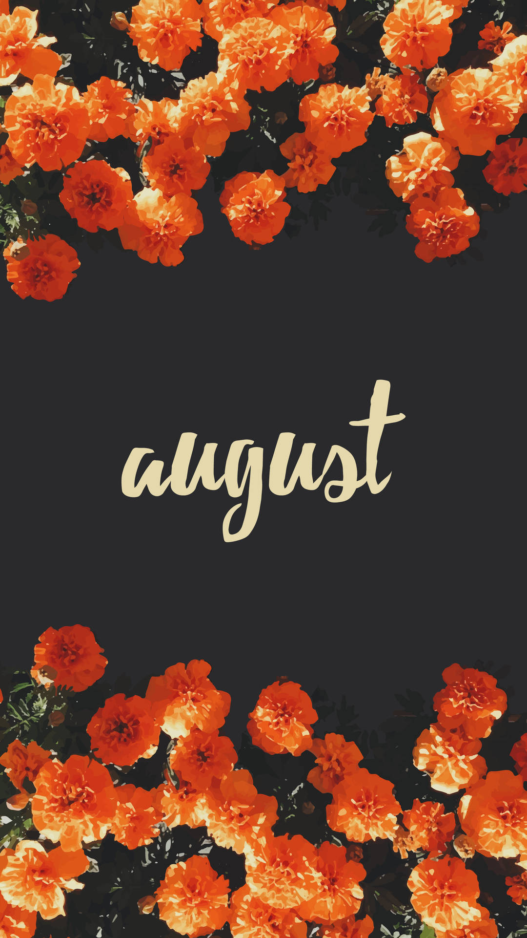 August Is Blooming With Orange Flowers Background