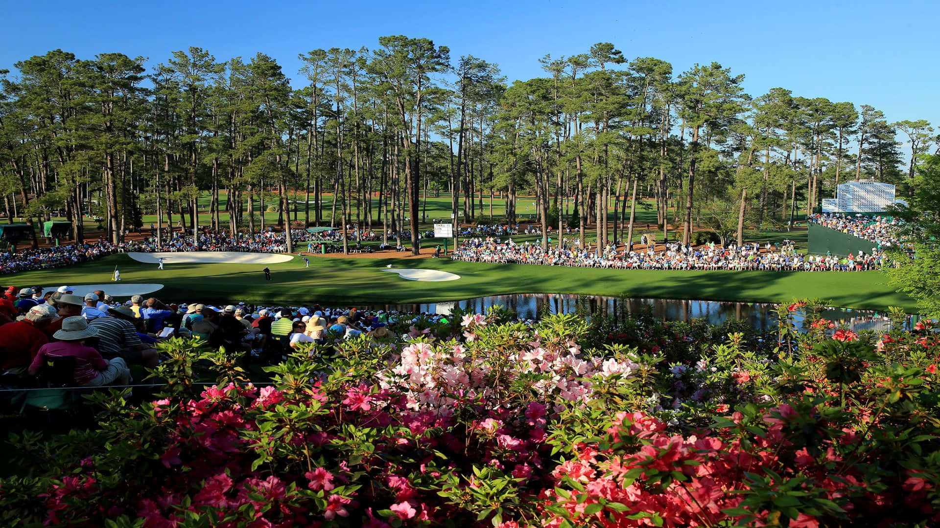 Augusta National Golf Course Garden Background