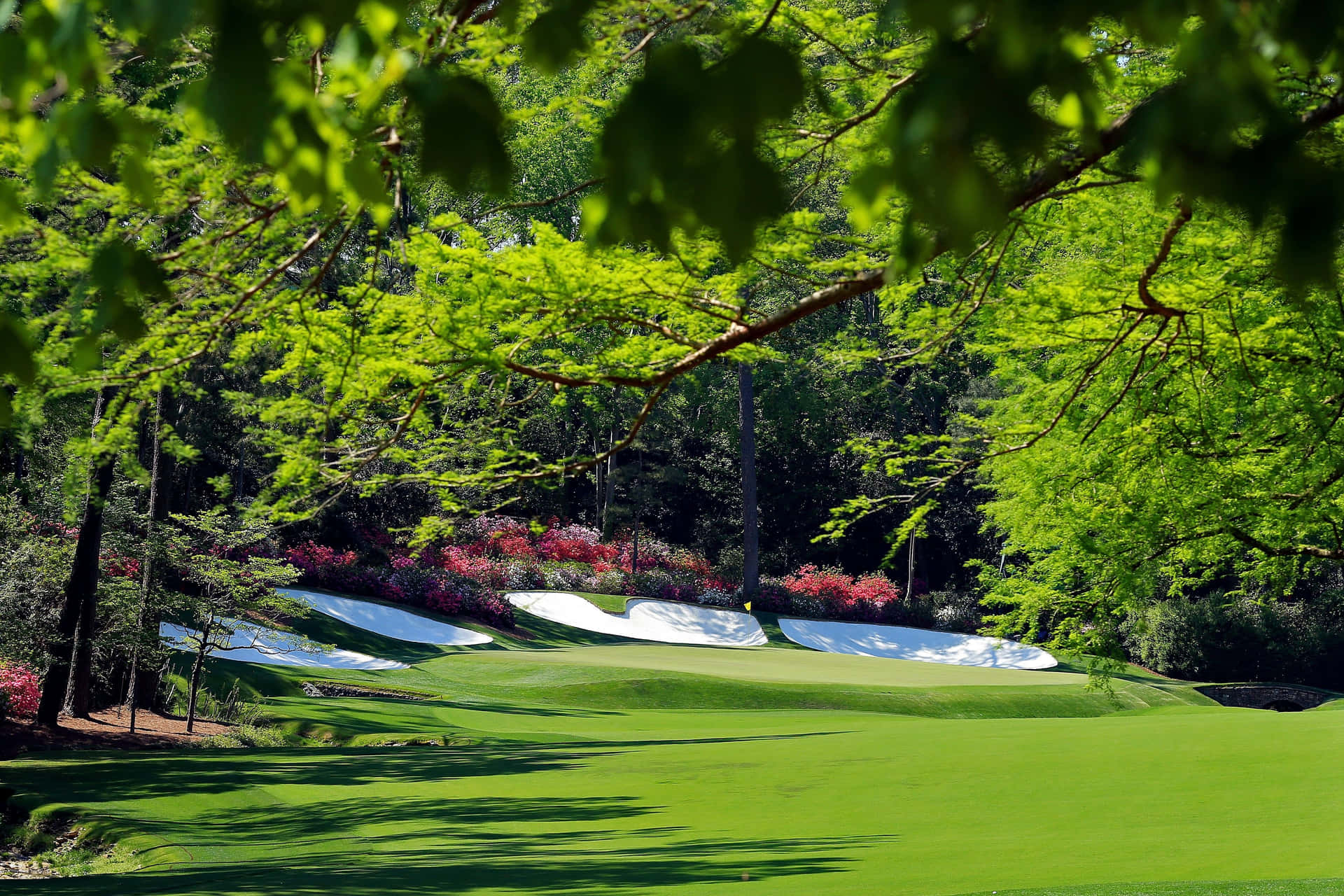 Augusta National Golf Course Greenery Background