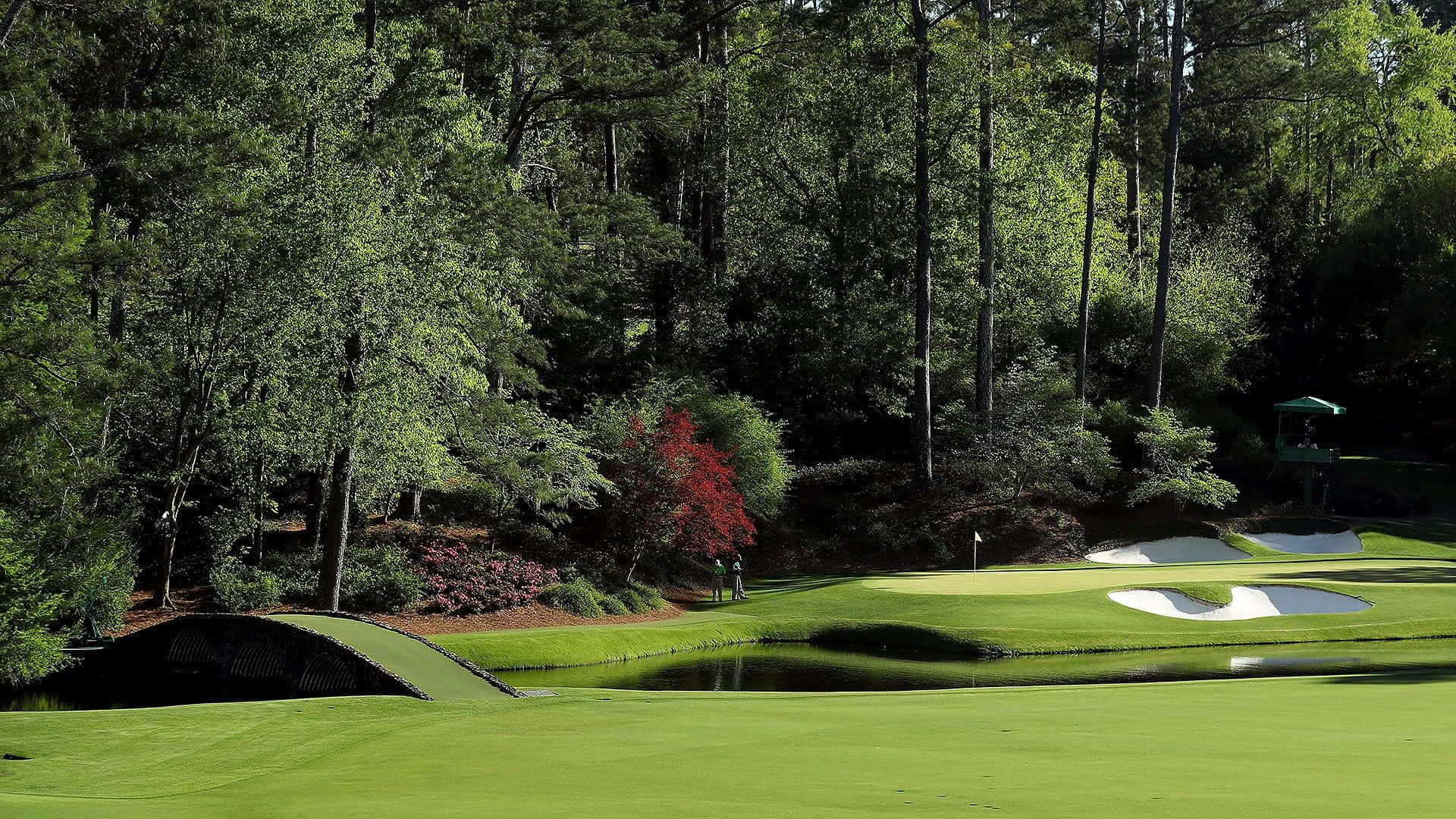 Augusta National Golf Course Trees Background