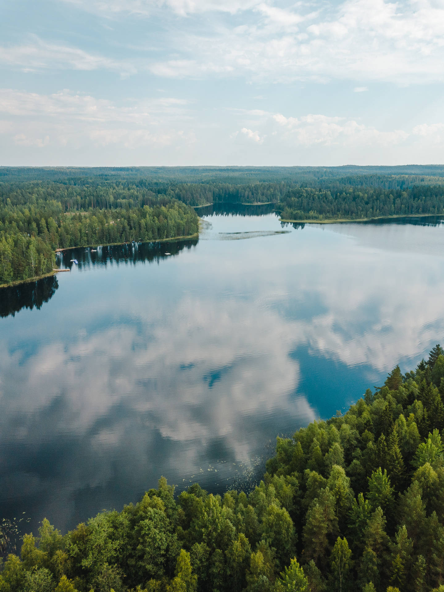 Aulanko Nature Reserve In Finland Background