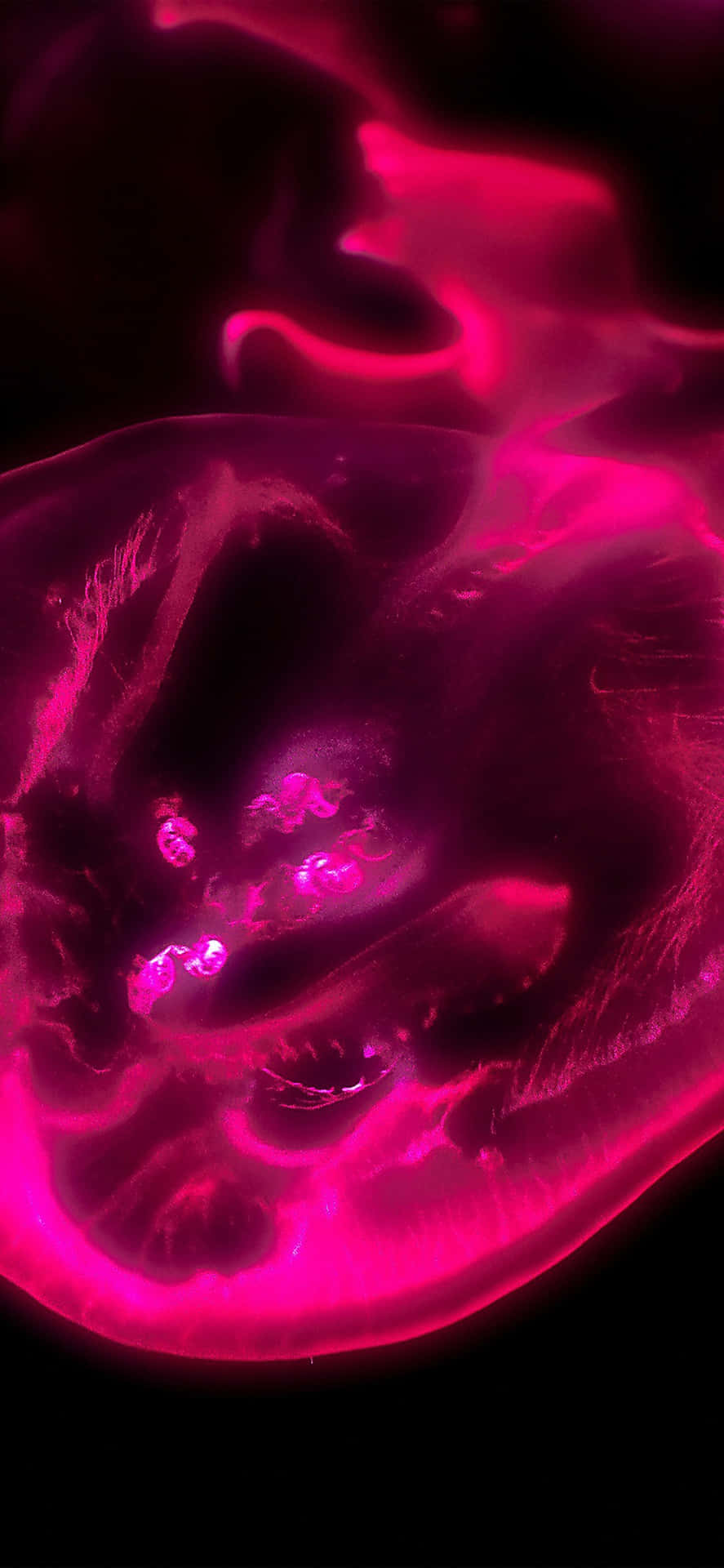 Aura In Black And Pink Iphone