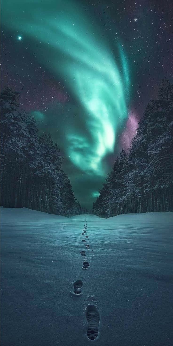 Aurora Borealis As A Lit Iphone Wallpaper Background