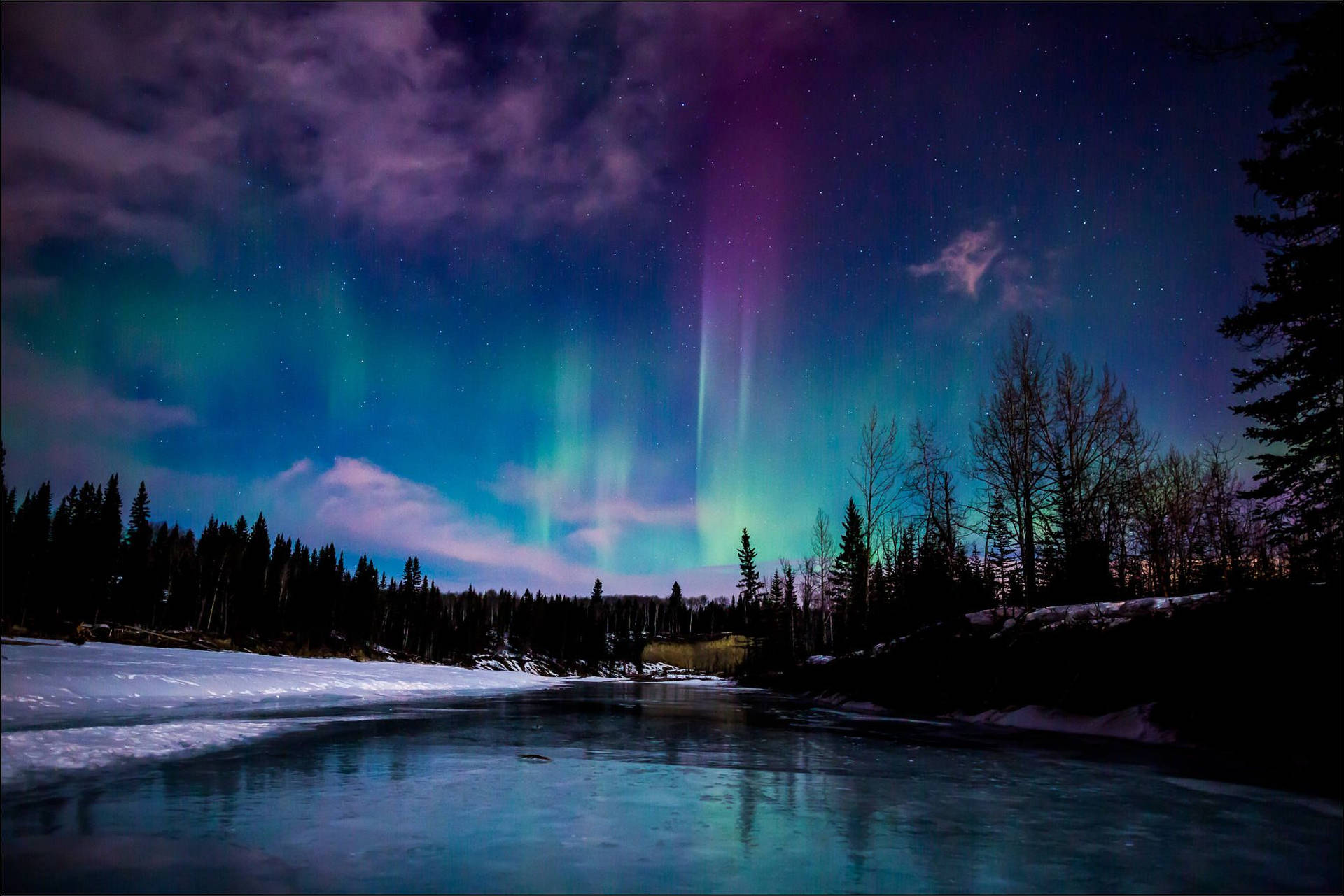 Aurora Borealis Northern Lights Forest Background