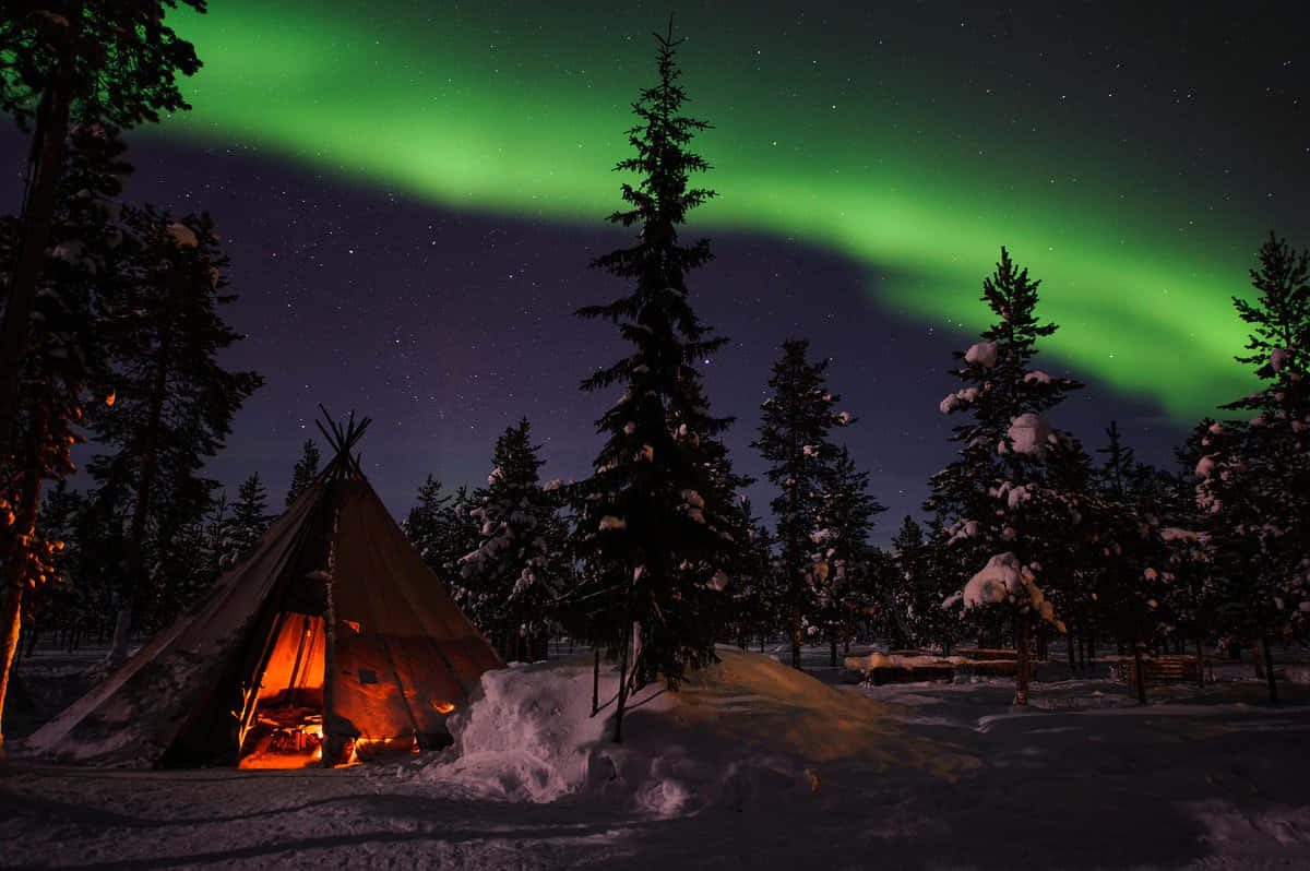 Aurora Borealis Northern Lights Tent Background