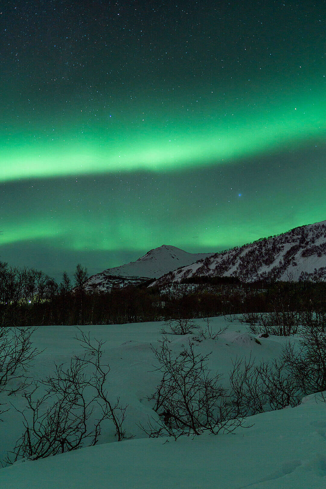 Aurora Borealis Over Snowy Landscape Green Iphone Background