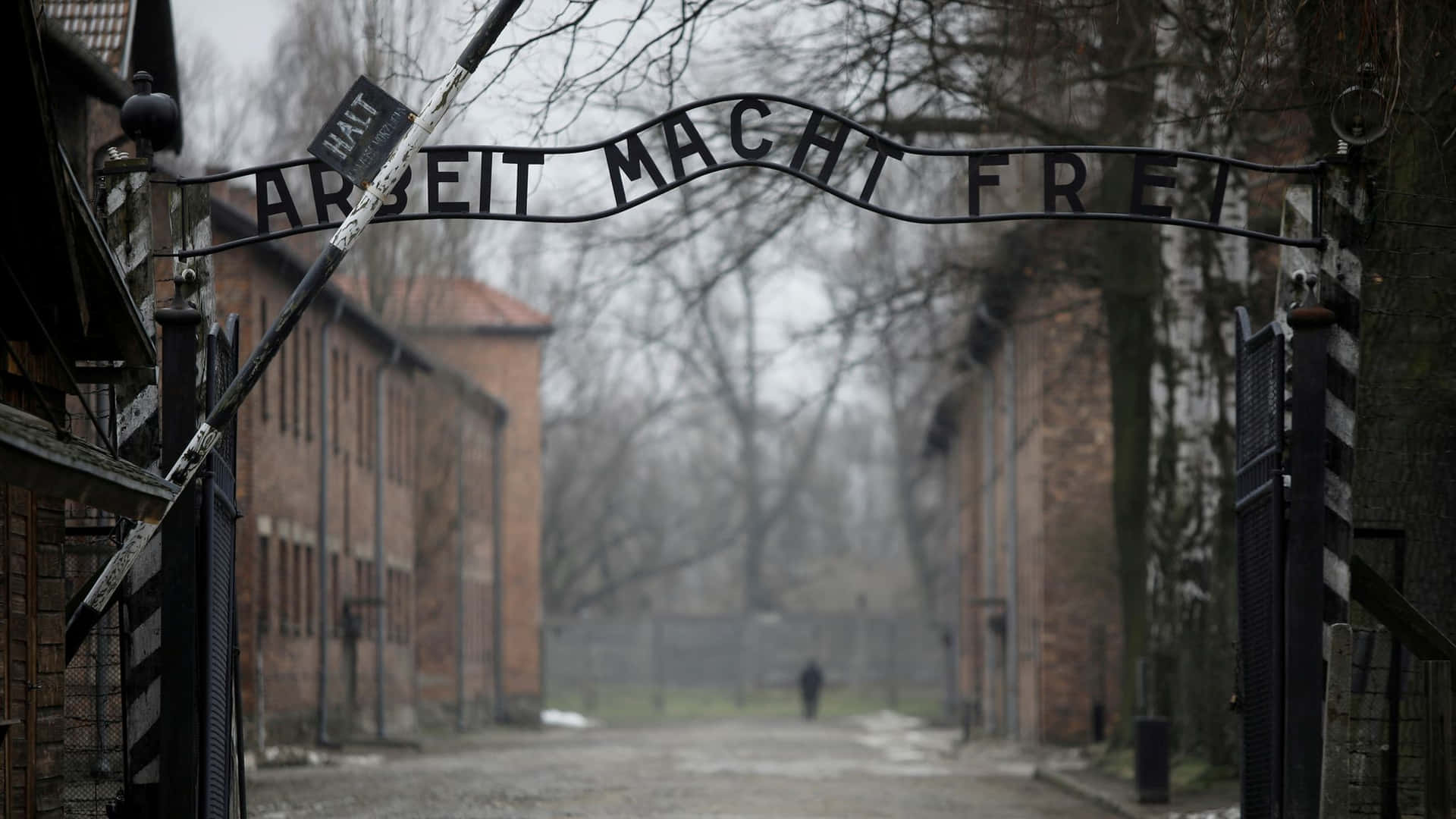Auschwitz Birkenau Arbeit Macht Frei 2021 Background
