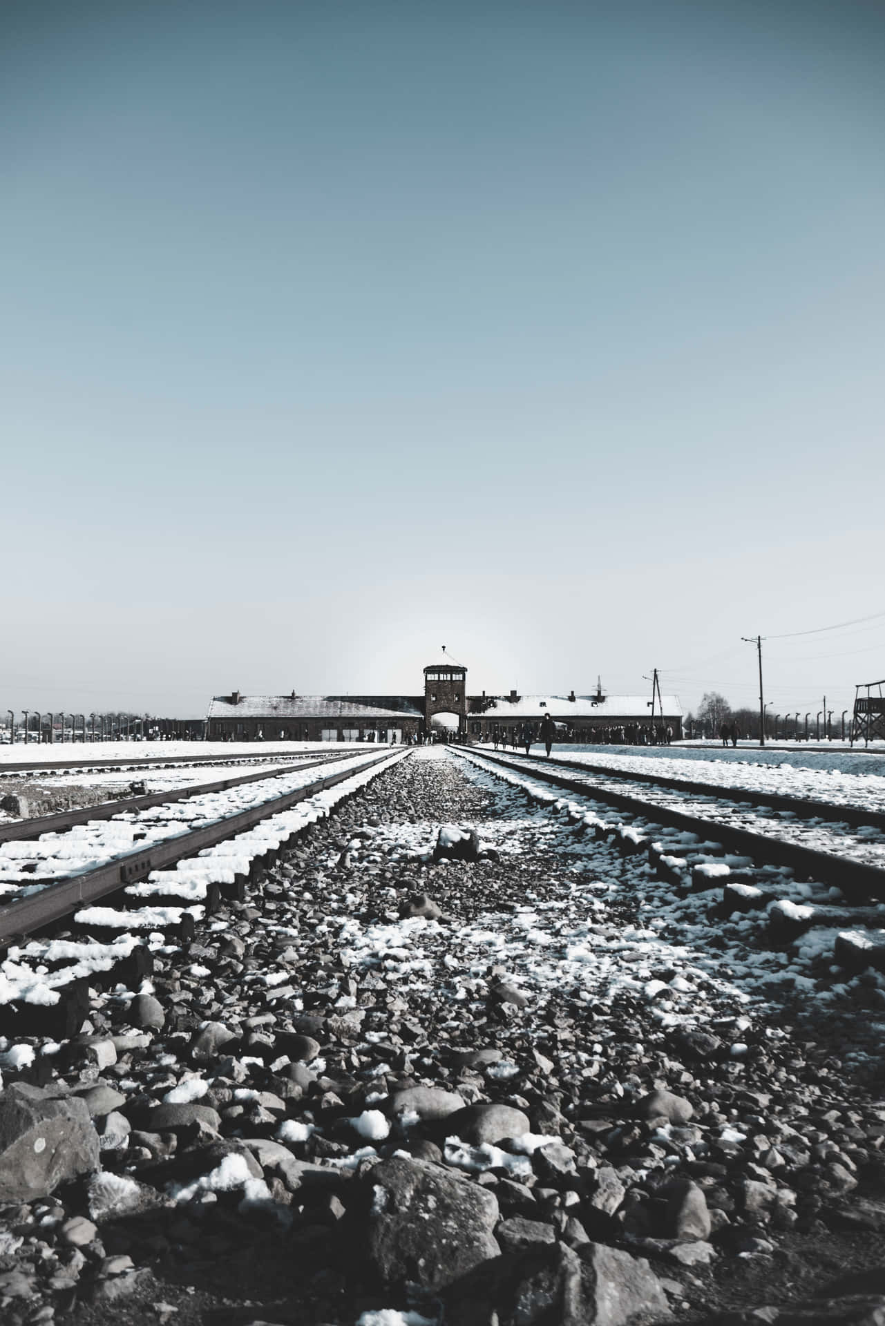 Auschwitz Birkenau Concentration Camp Aesthetic Portrait Background
