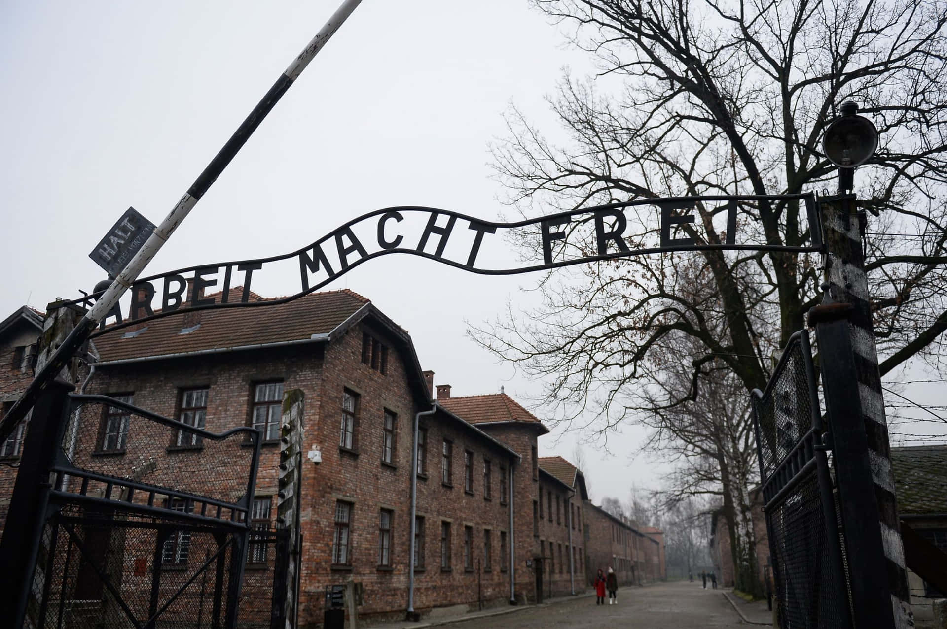 Auschwitz Concentration Camp Gate Arbeit Macht Frei Background