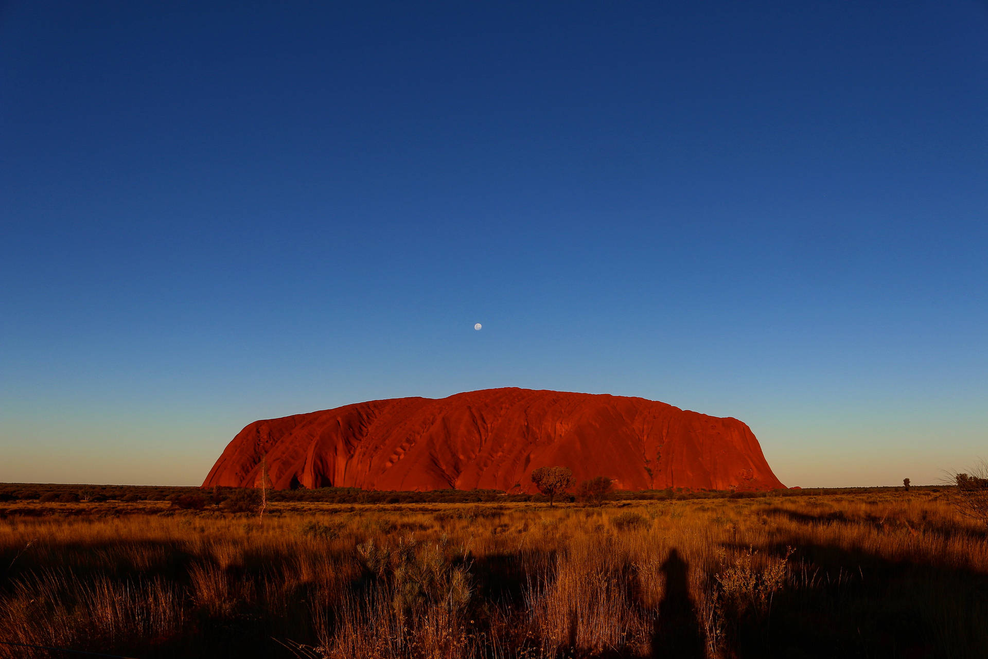 Australia Ayers Rock At Night Background