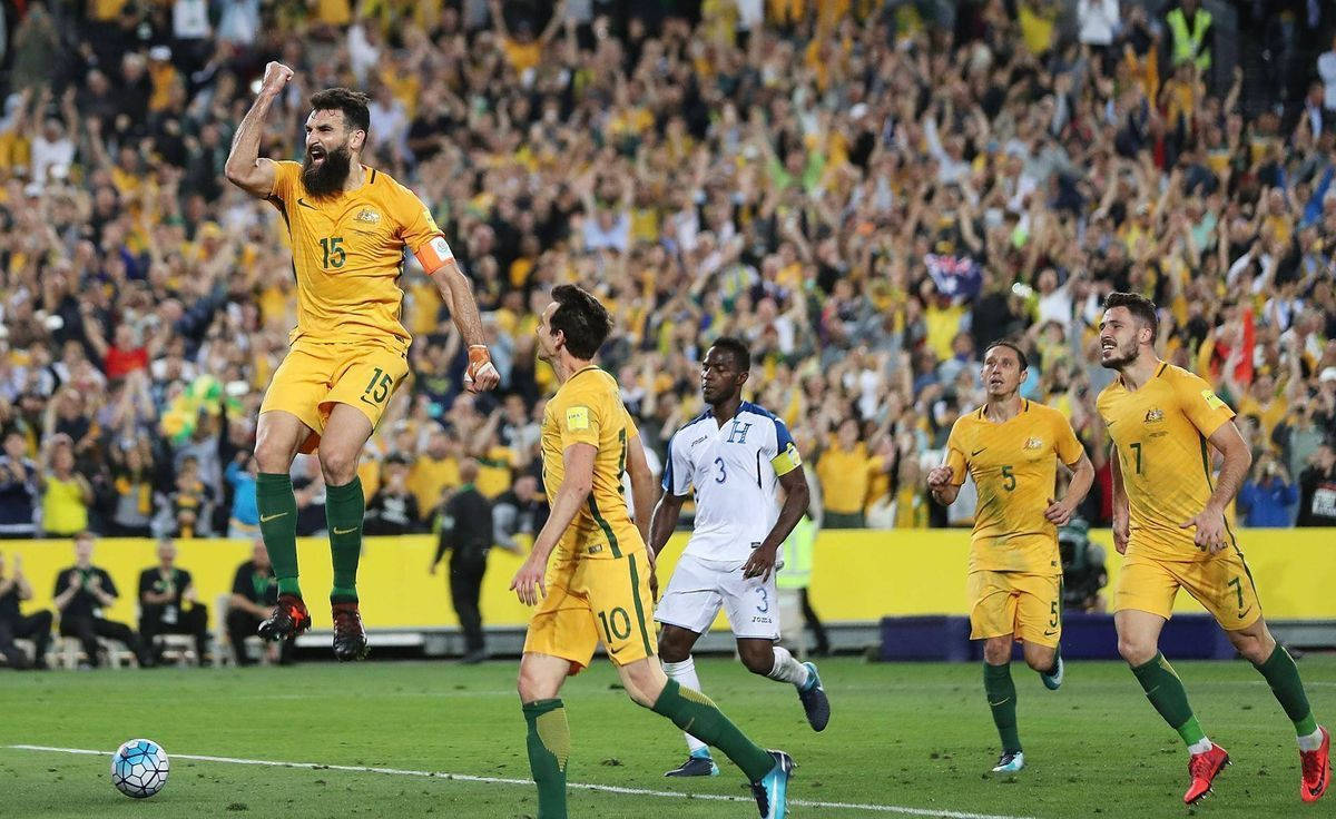 Australia National Football Team Mile Jedinak Background