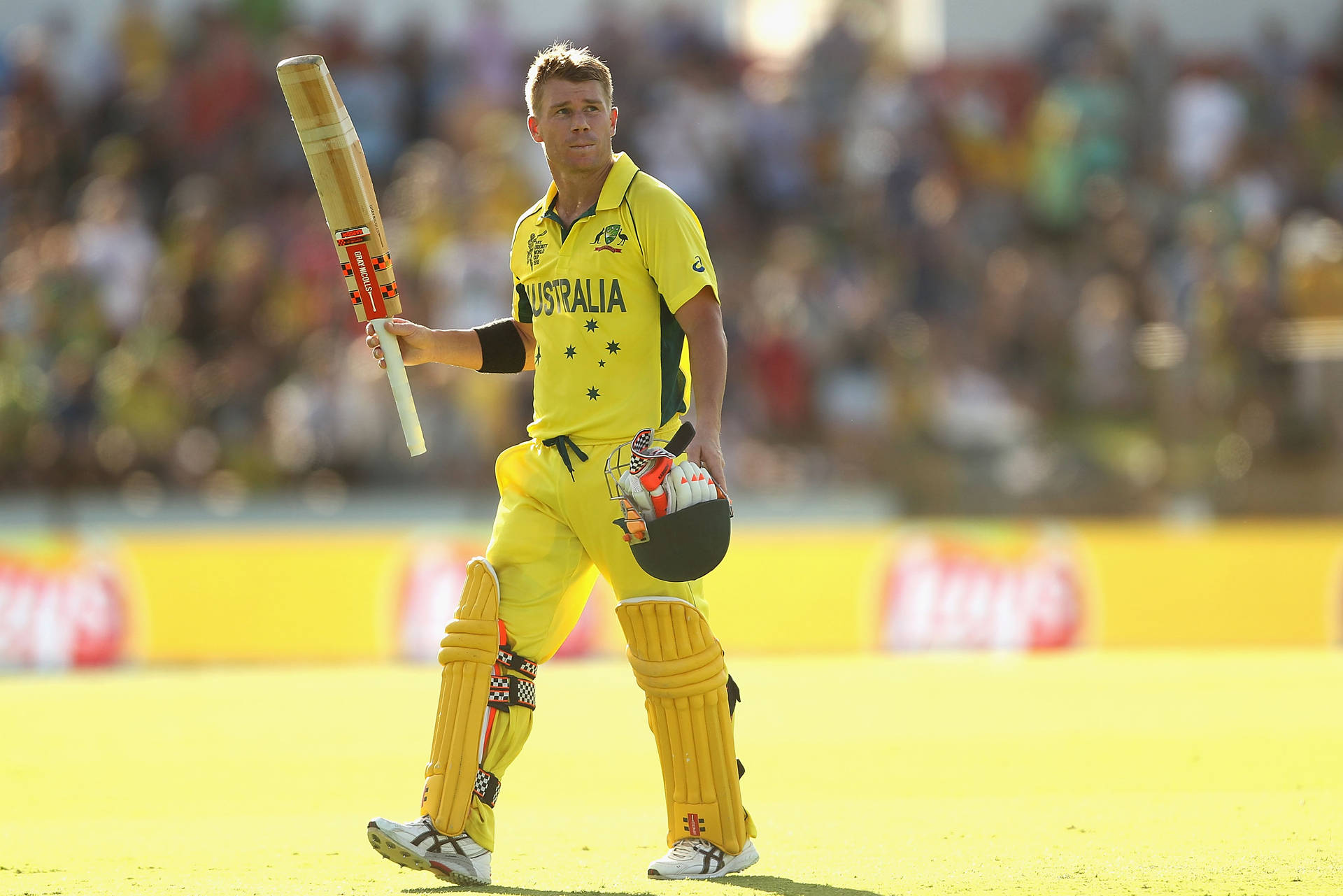 Australia's Formidable Batsman, David Warner In Action Background