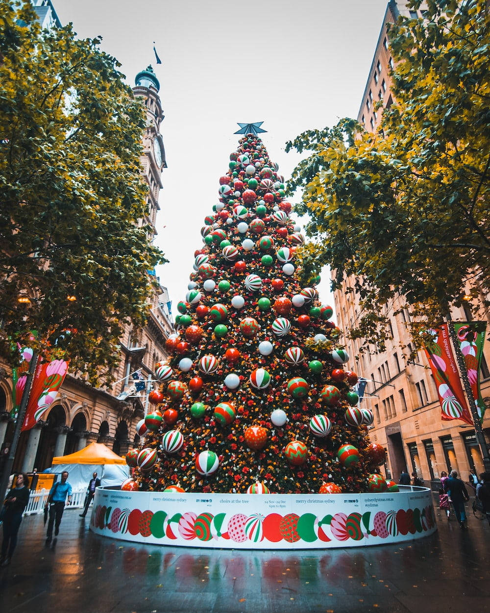 Australian Christmas Colorful Tree