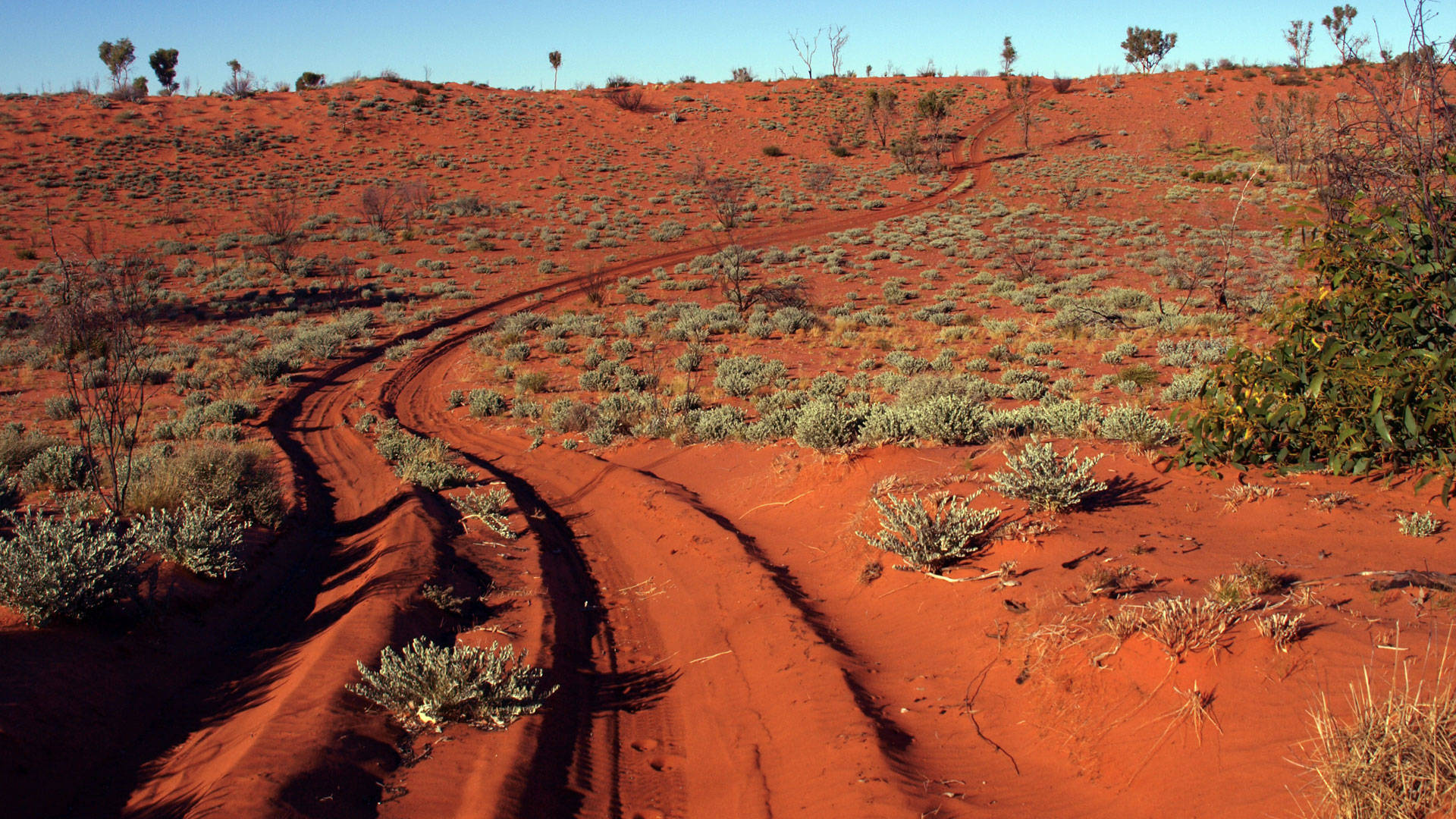 Australian Outback Canning Stock Route Background