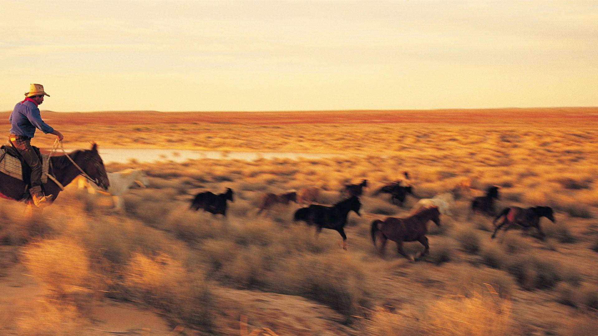 Australian Outback Horse Riding Background
