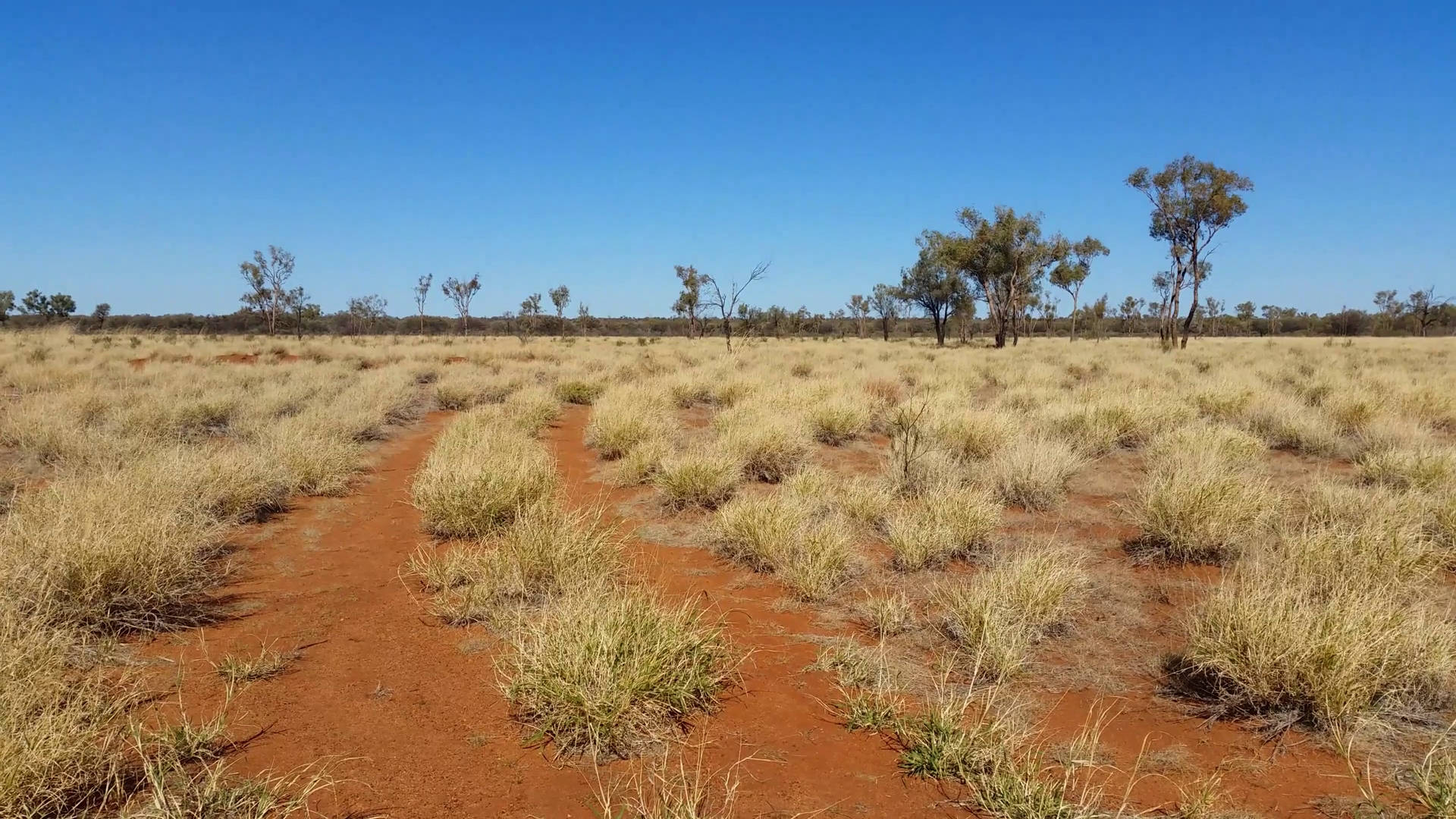 Australian Outback Red Soil Background