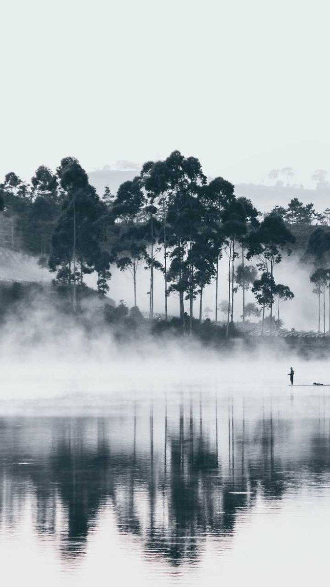 Authentic Foggy Lake