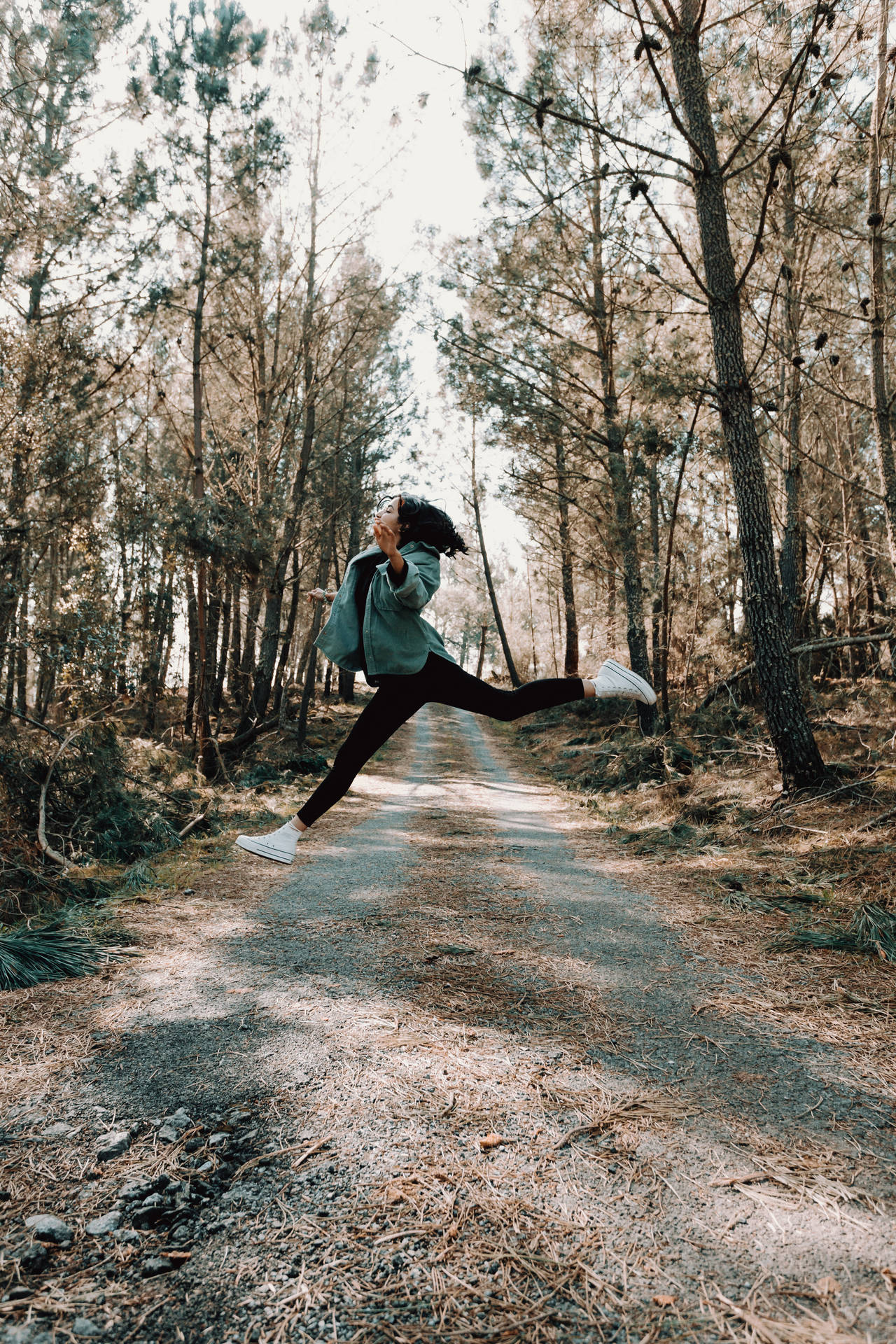 Autum Road Jumping