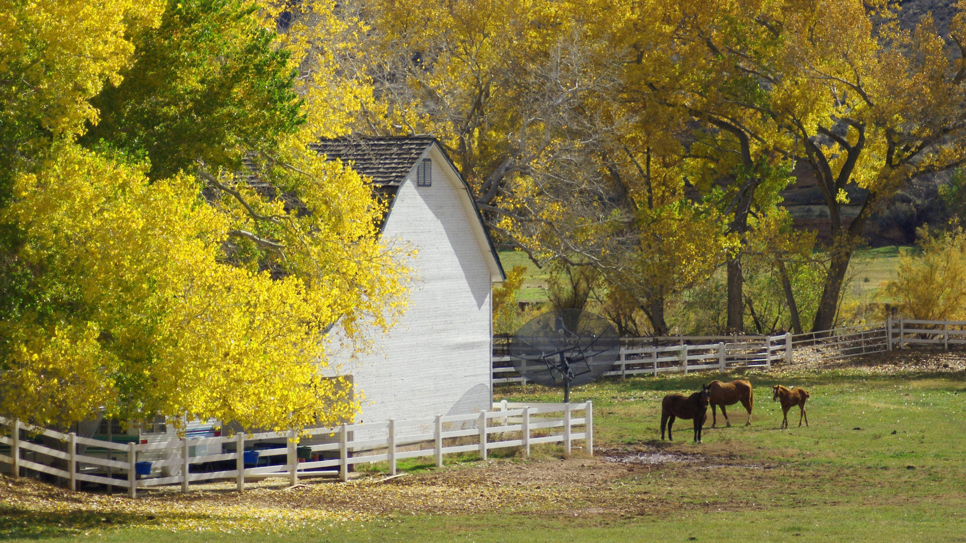 Autumn Beauty On A Pennsylvania Farm