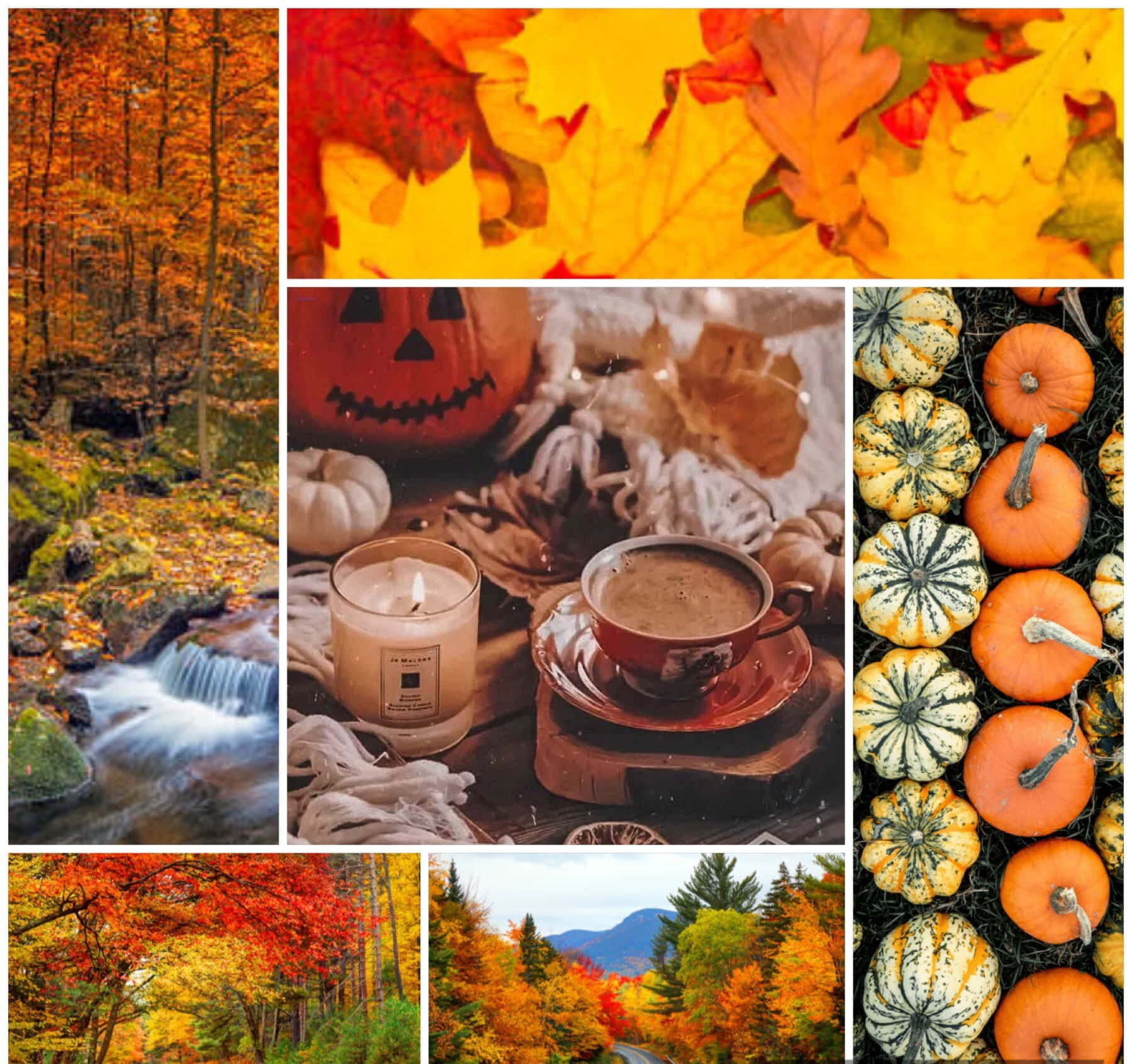 Autumn Collage With Pumpkins, Leaves And A Stream Background