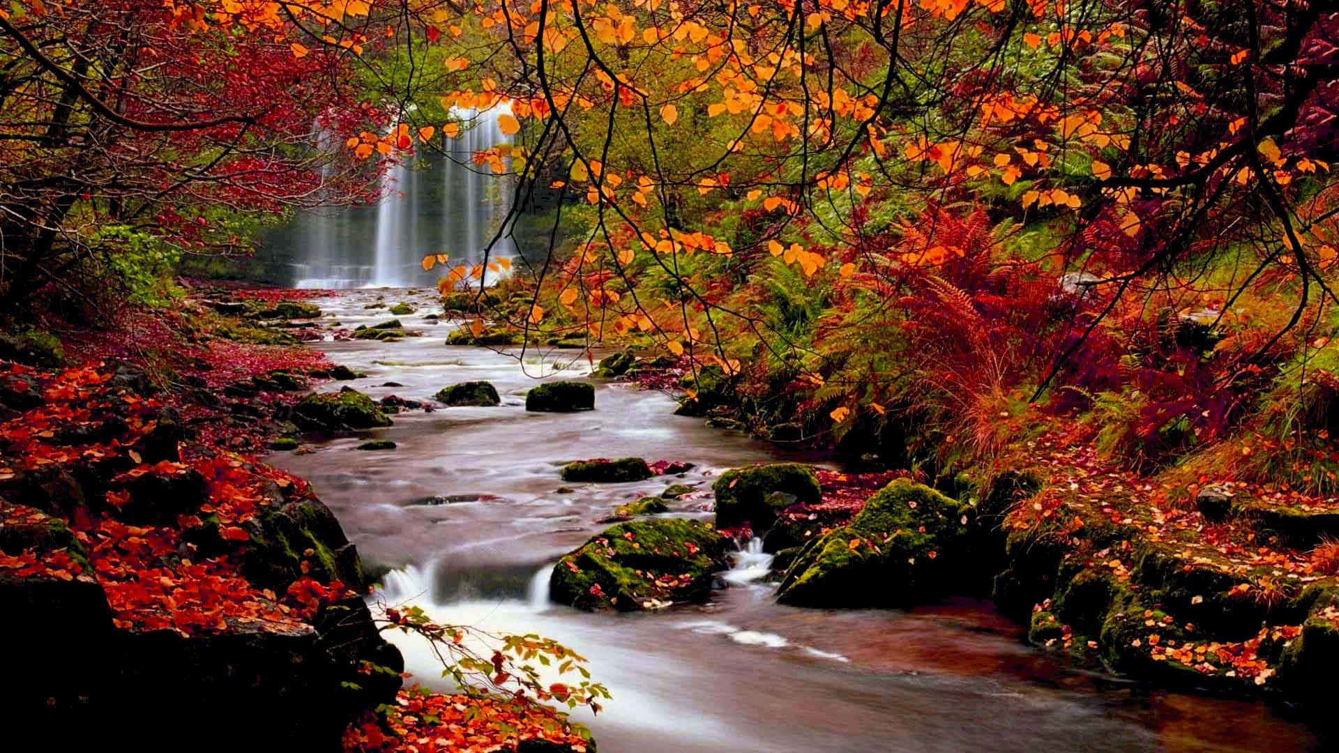 Autumn Desktop - Enjoy The Beauty Of Nature This Fall! Background