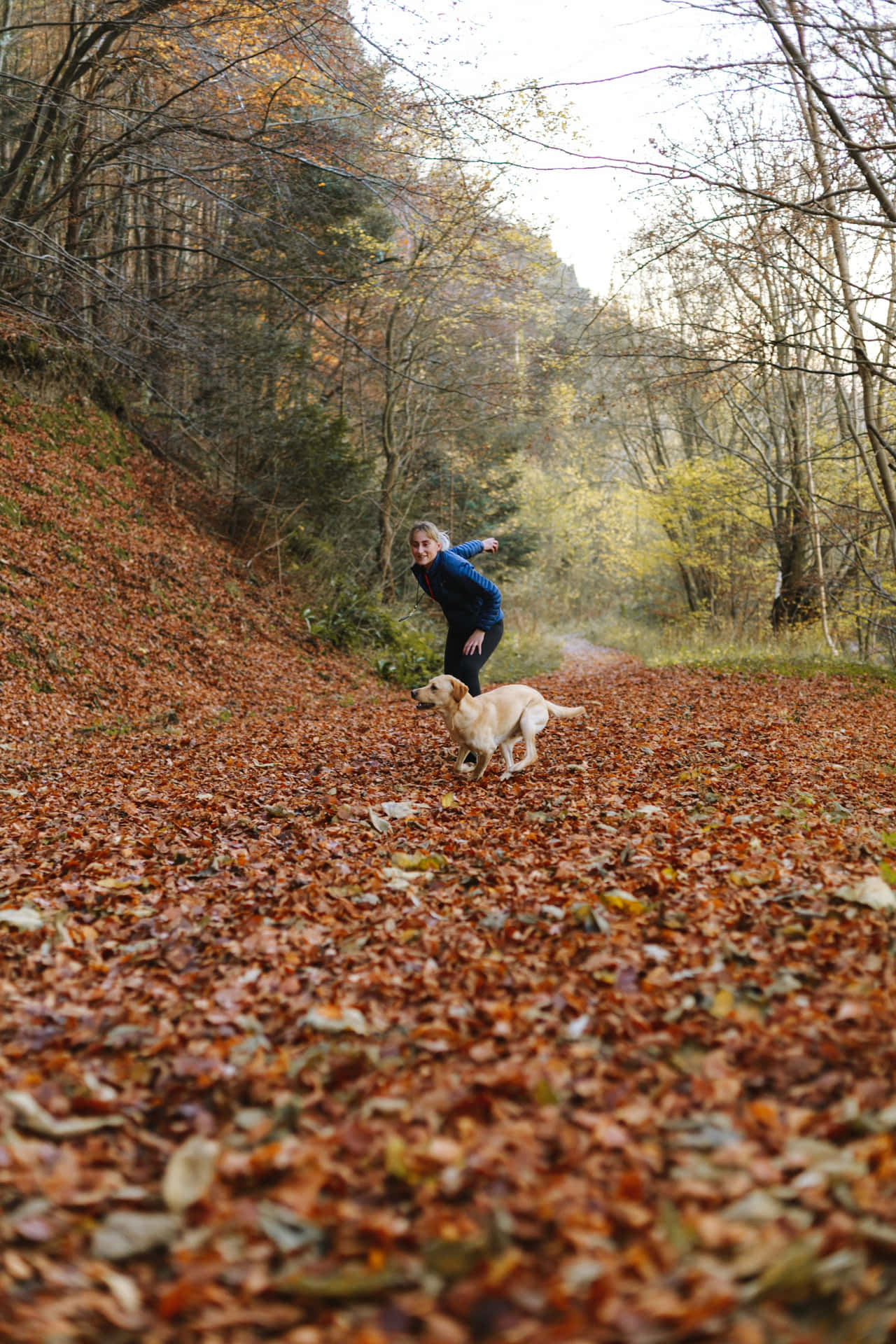 Autumn Dog Training Session