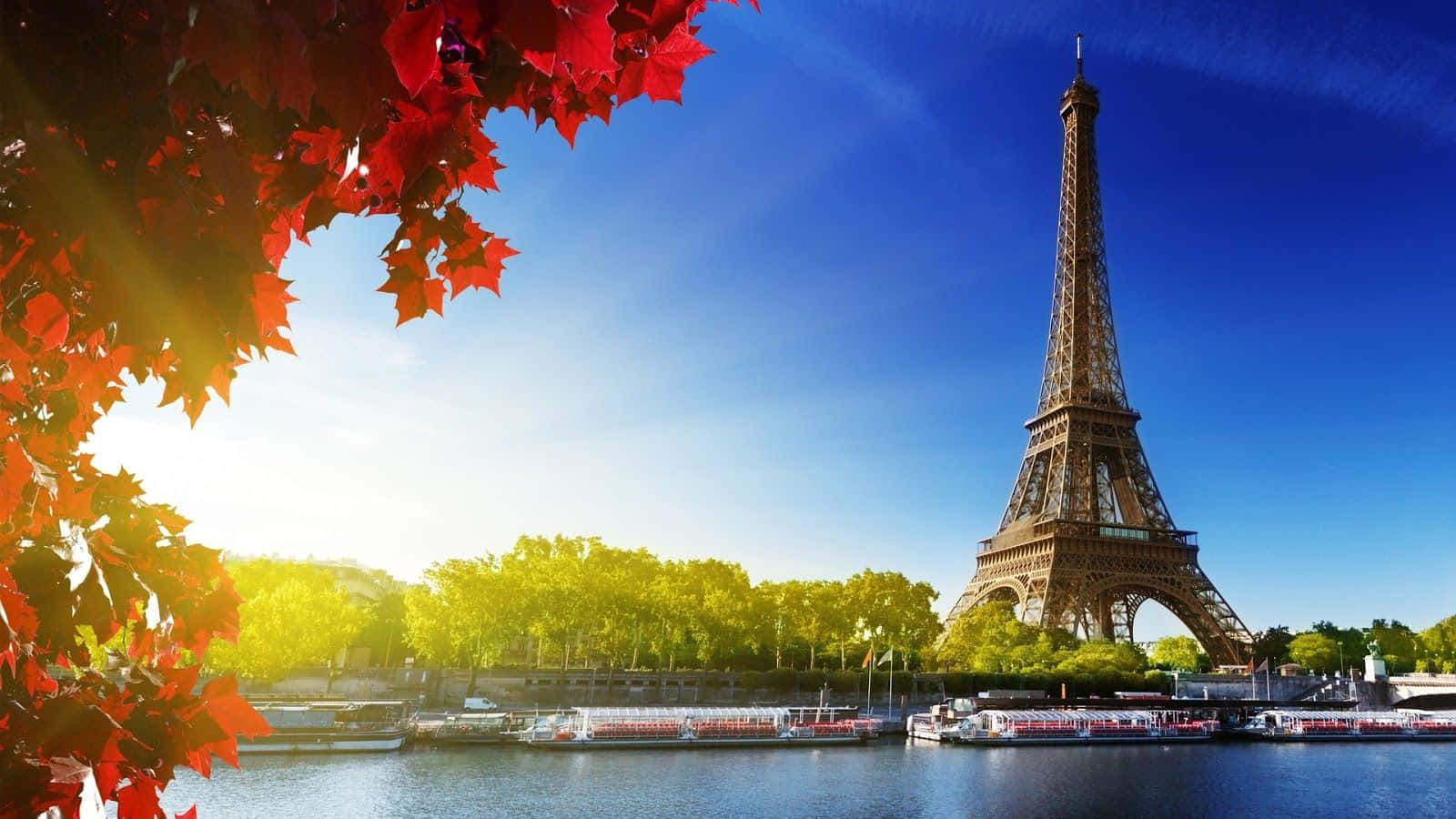 Autumn Eiffel Tower Paris Skyline Background