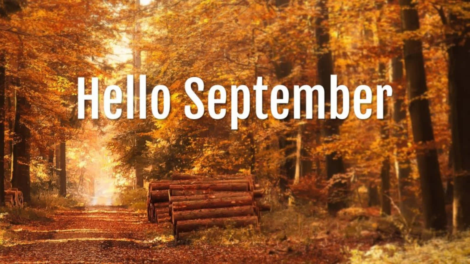 Autumn Fall Road With Hello September Greeting Background