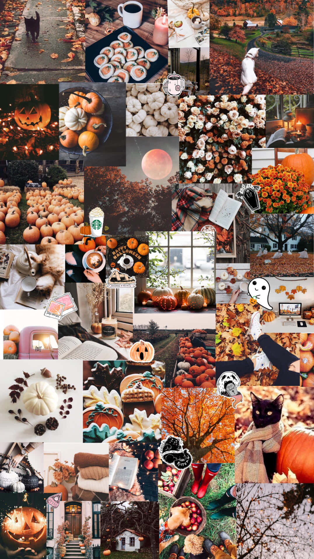 Autumn Halloween Aesthetic Collage Background