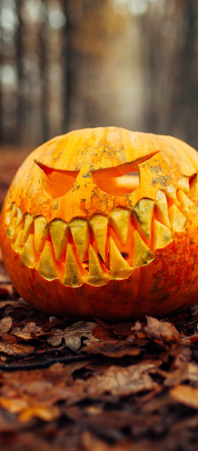 Autumn Halloween Pumpkin Carving Background