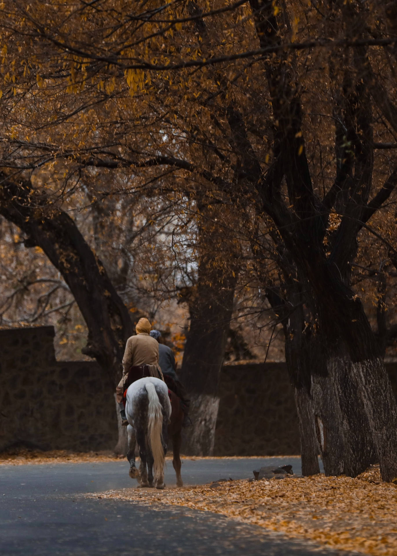 Autumn In Kabul Background