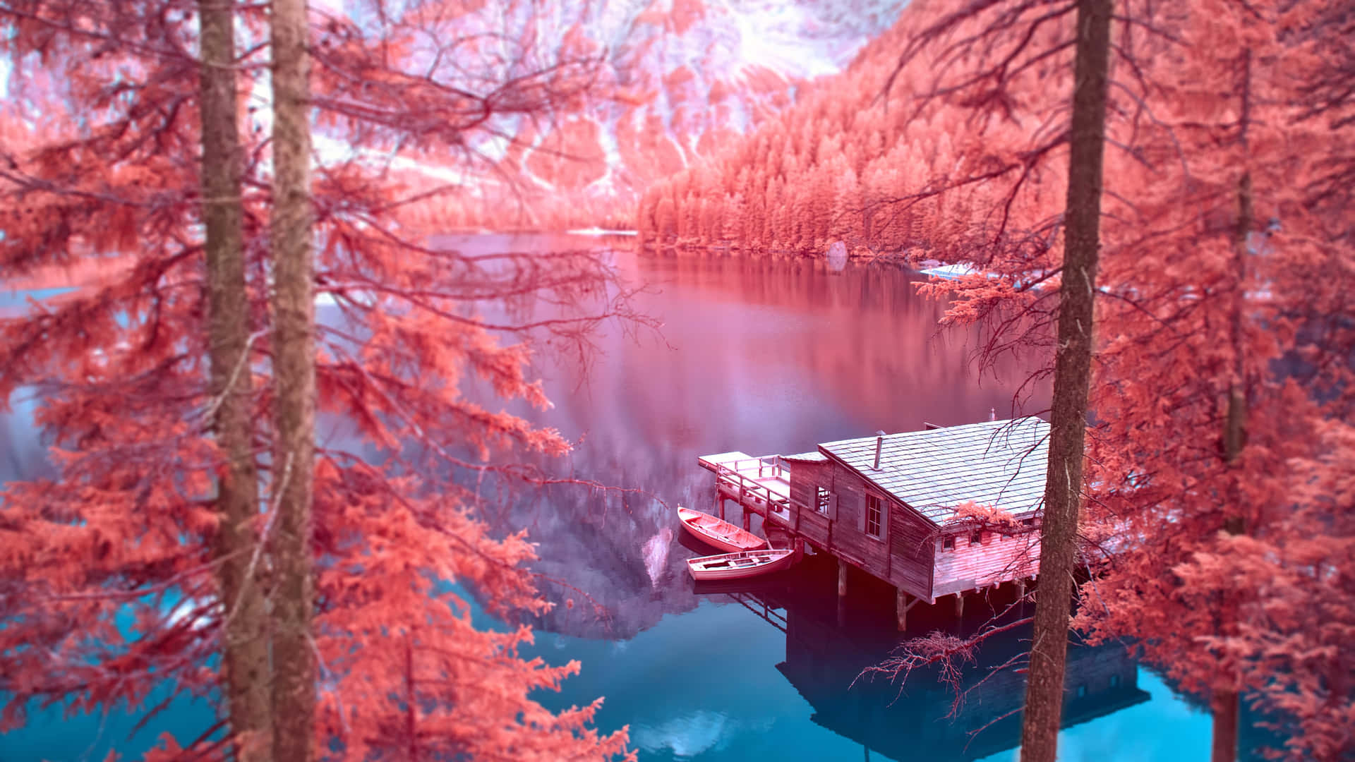 Autumn Infrared Lake House Wallpaper Background