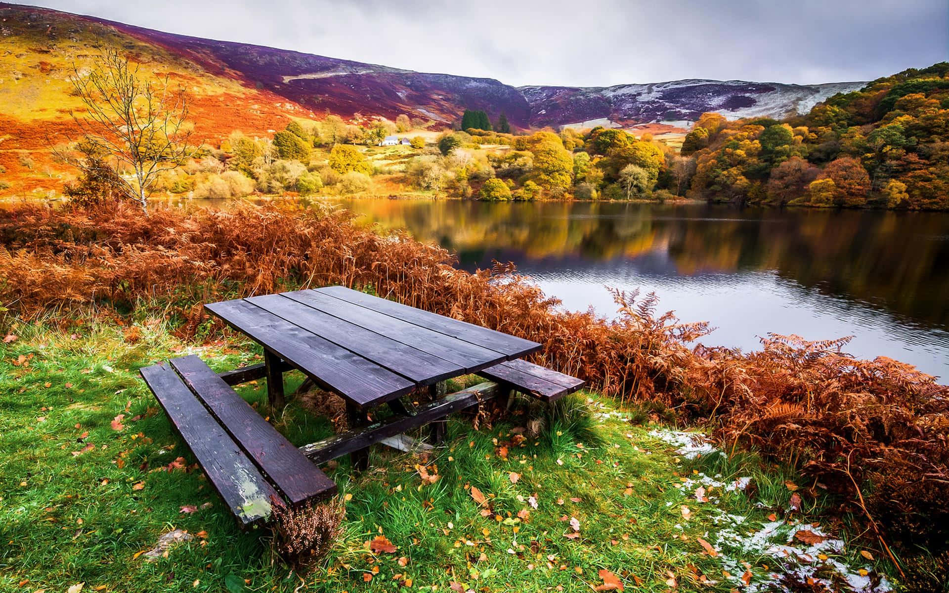 Autumn Lakeside Picnic Area