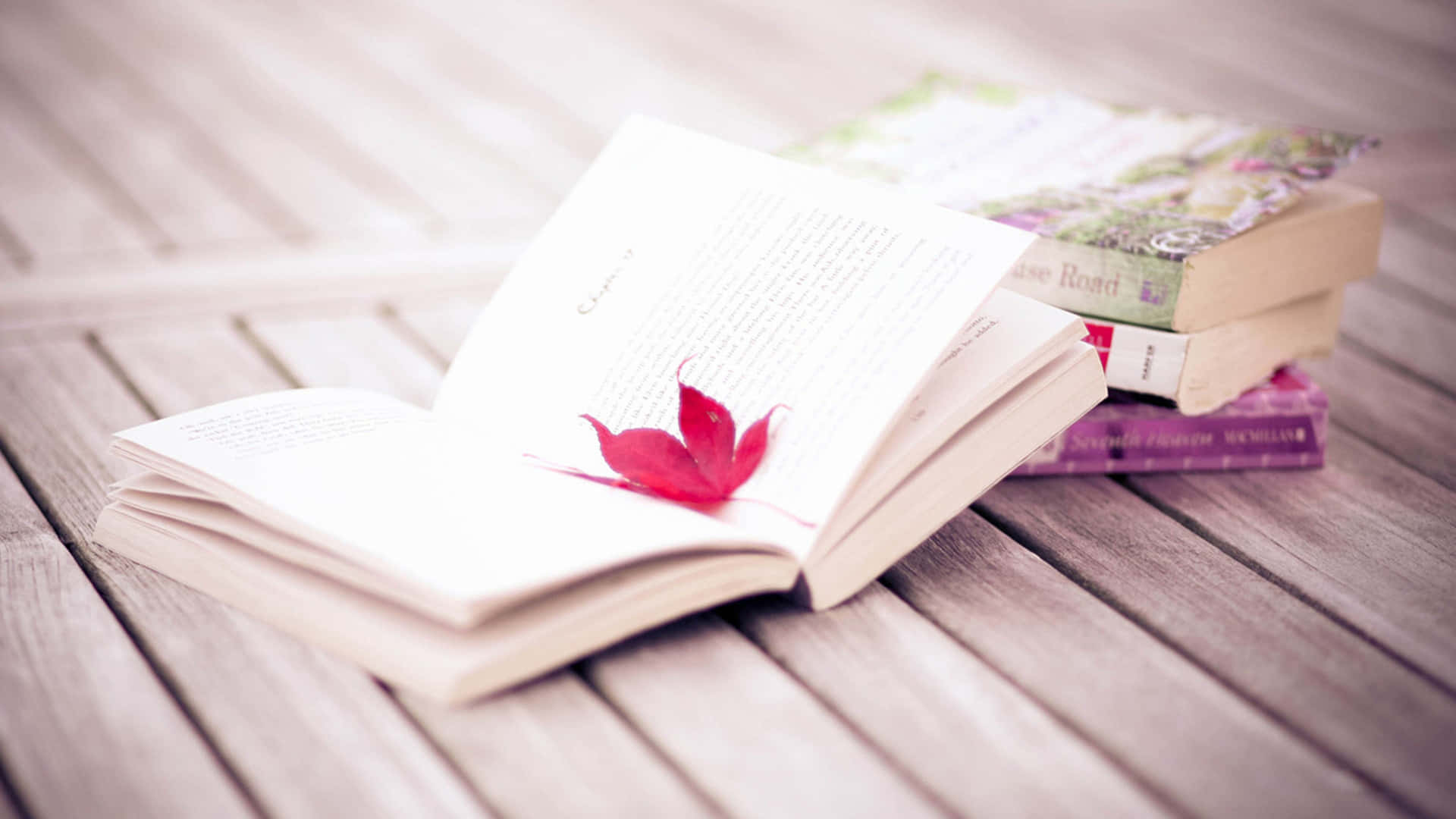 Autumn Leaf On Novel Background