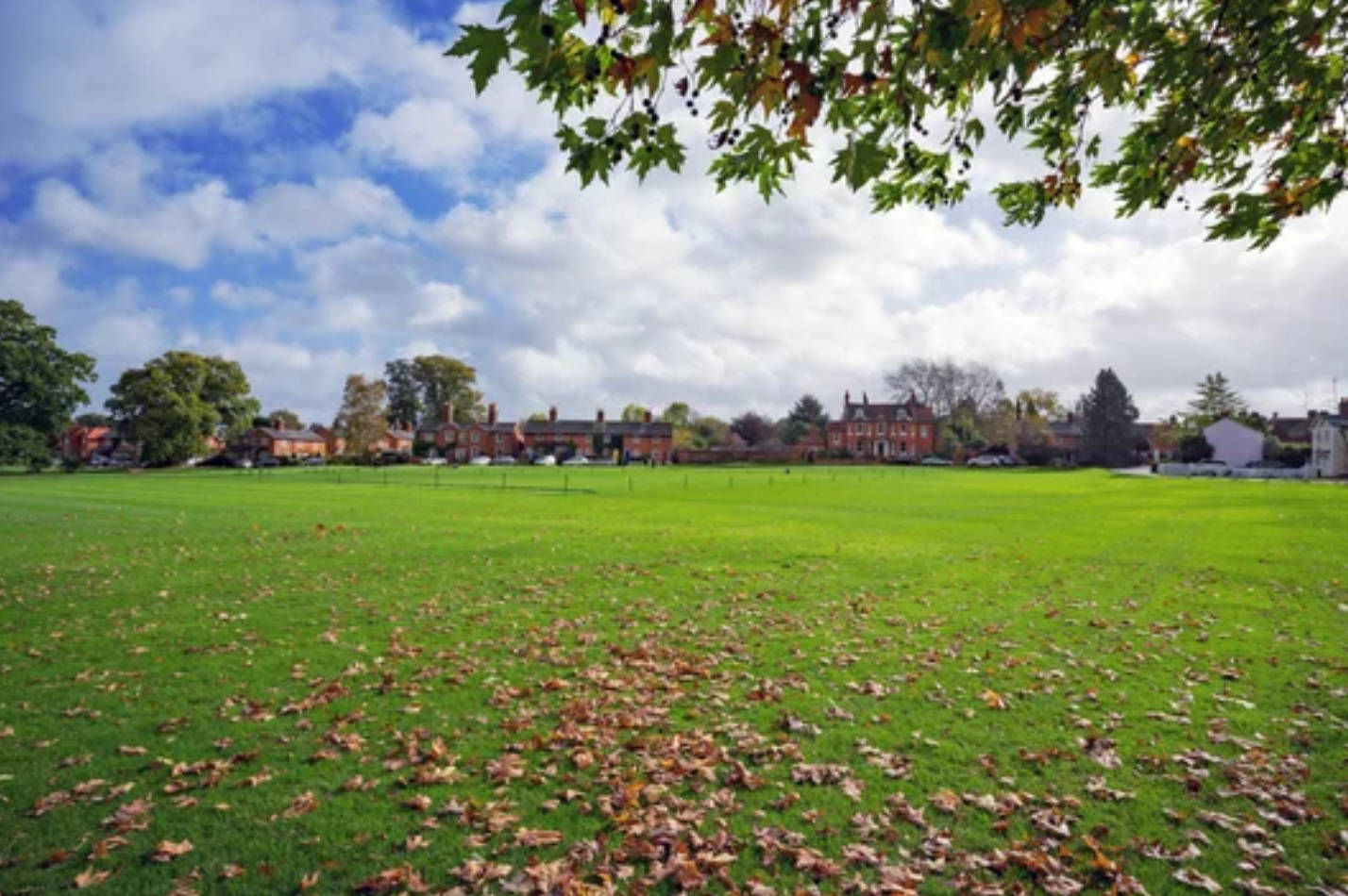 Autumn Leaves Cricket Ground Background